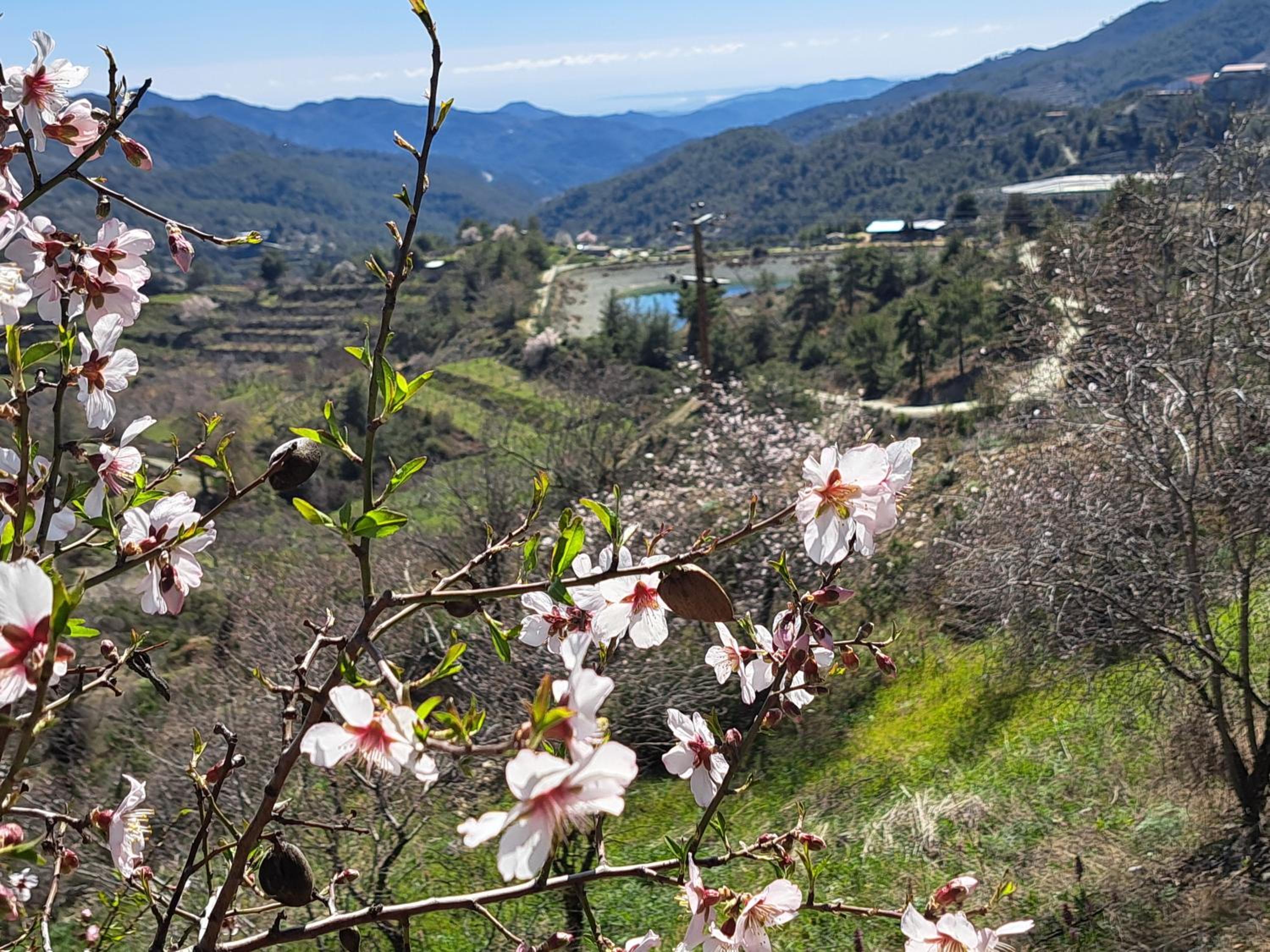 Kyperounta Troodos mountain house