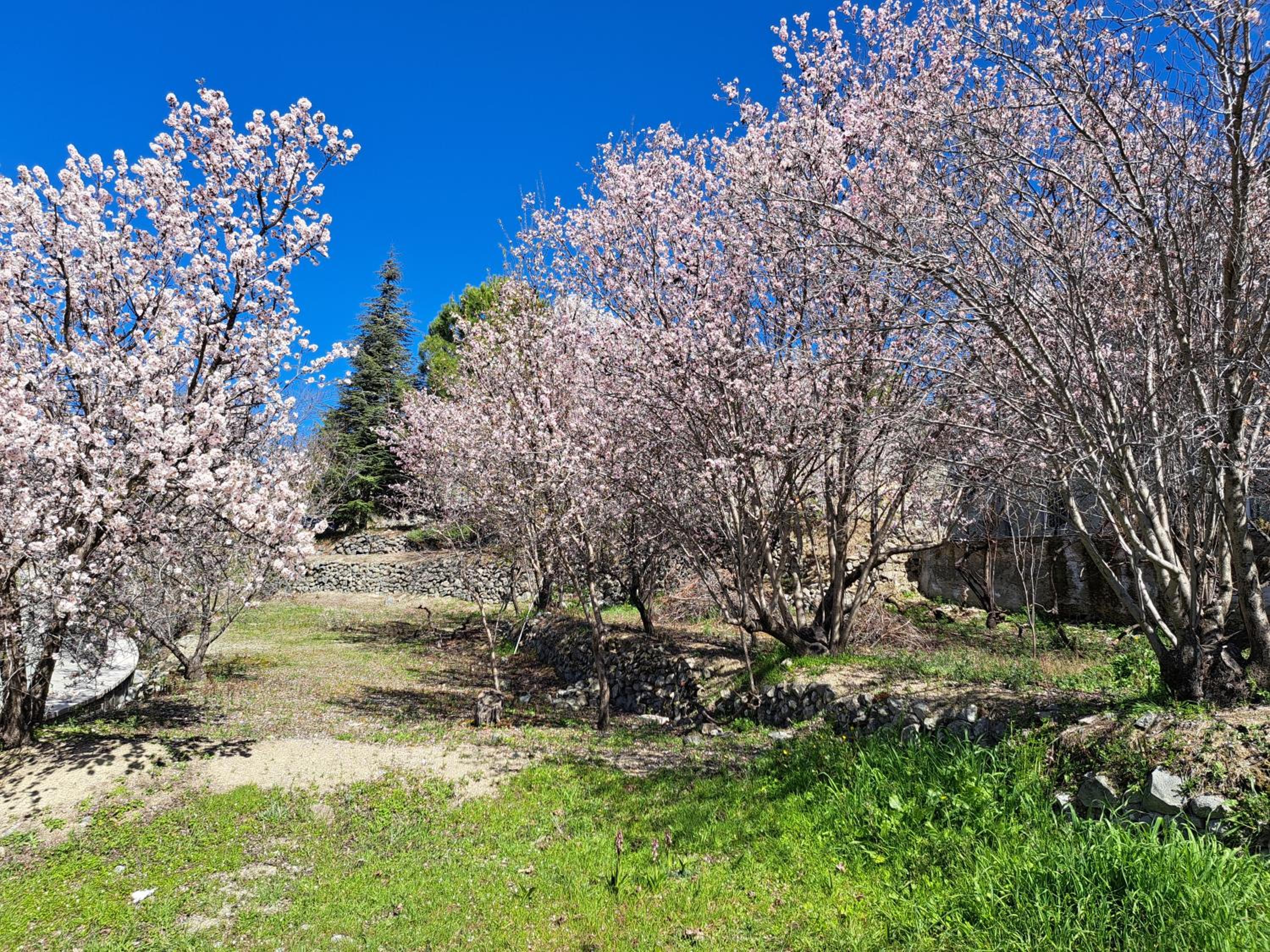 Kyperounta Troodos mountain house