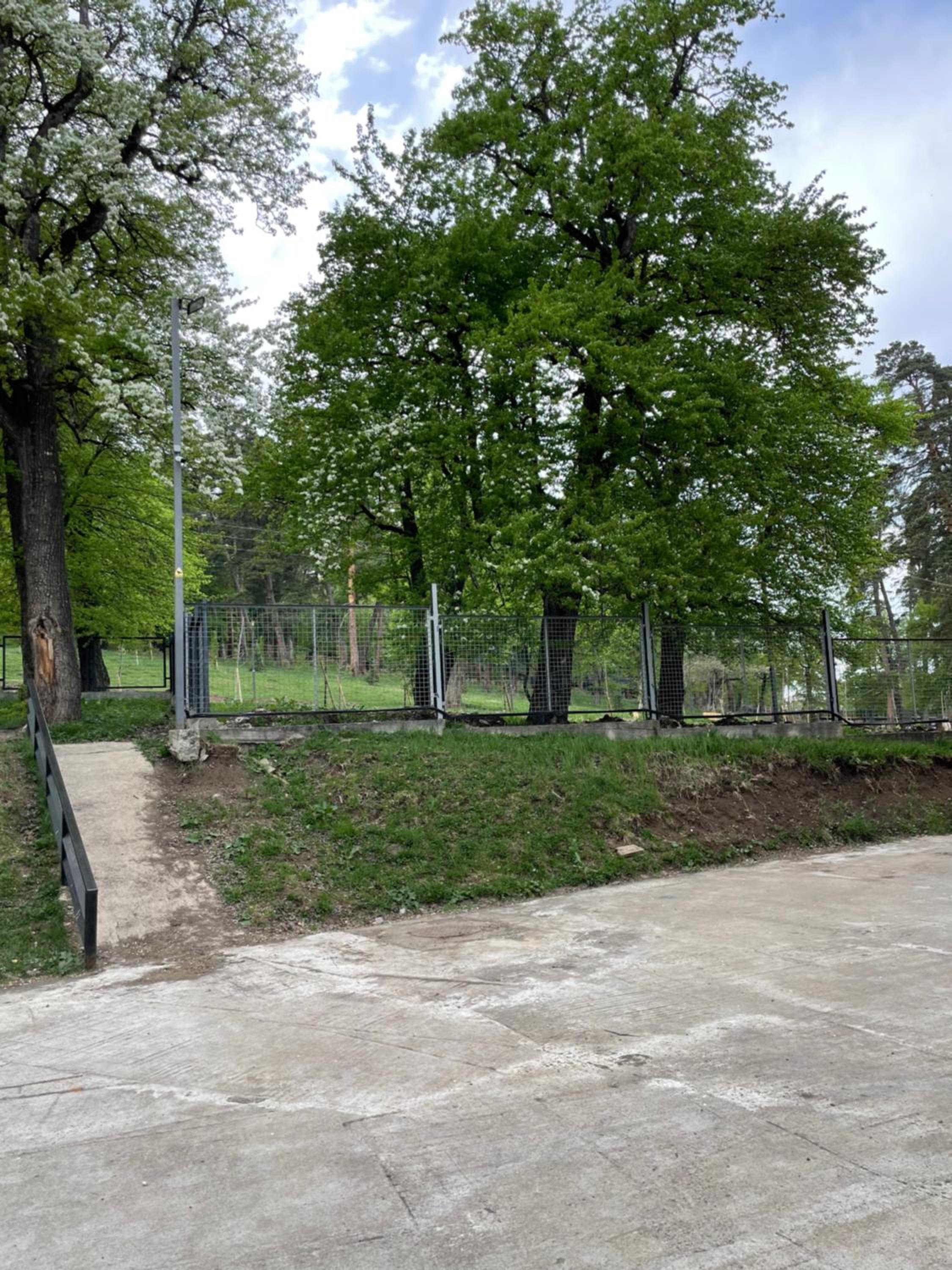 Hillside Bakuriani view 2