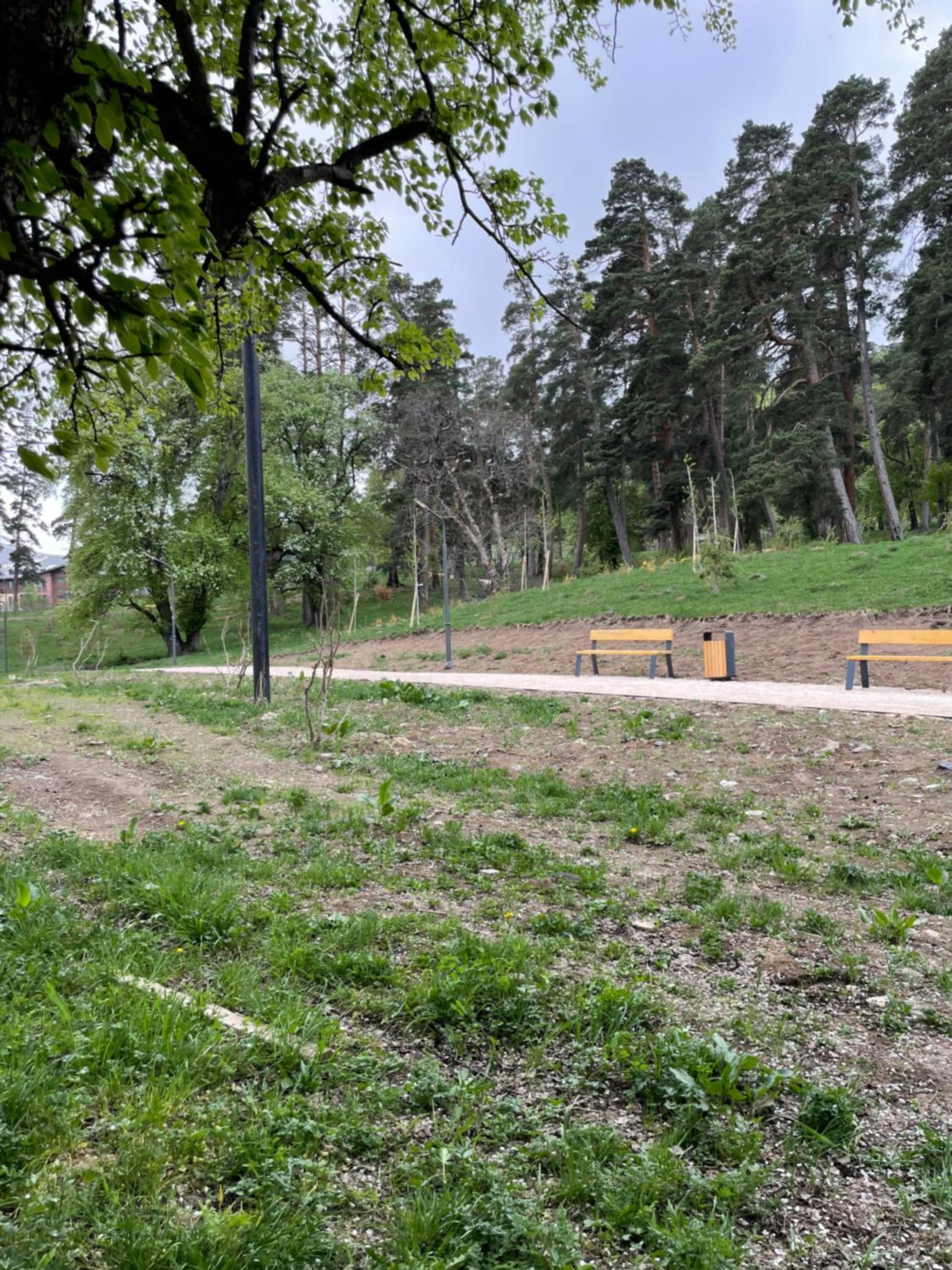 Photo 13