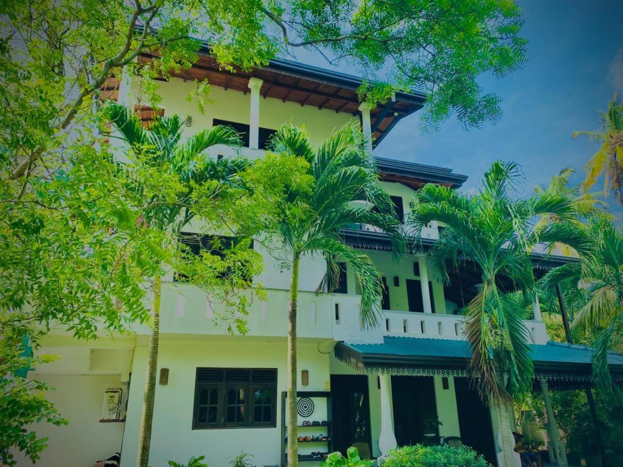 Pinidu House view 4