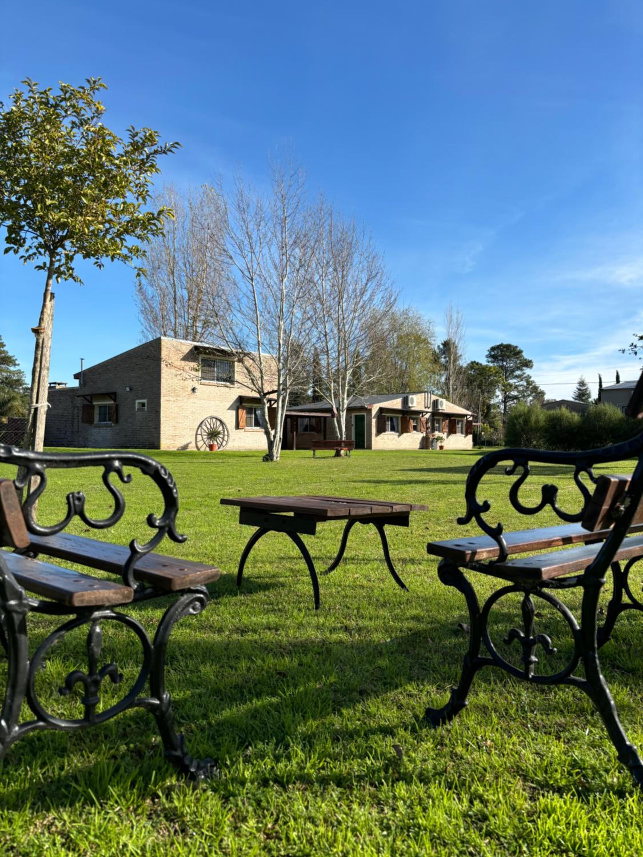 Aroma de campo