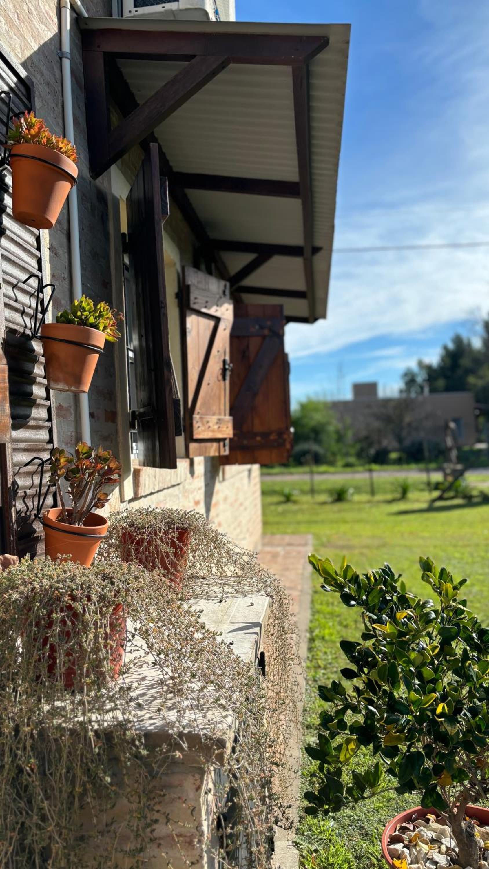 Aroma de campo