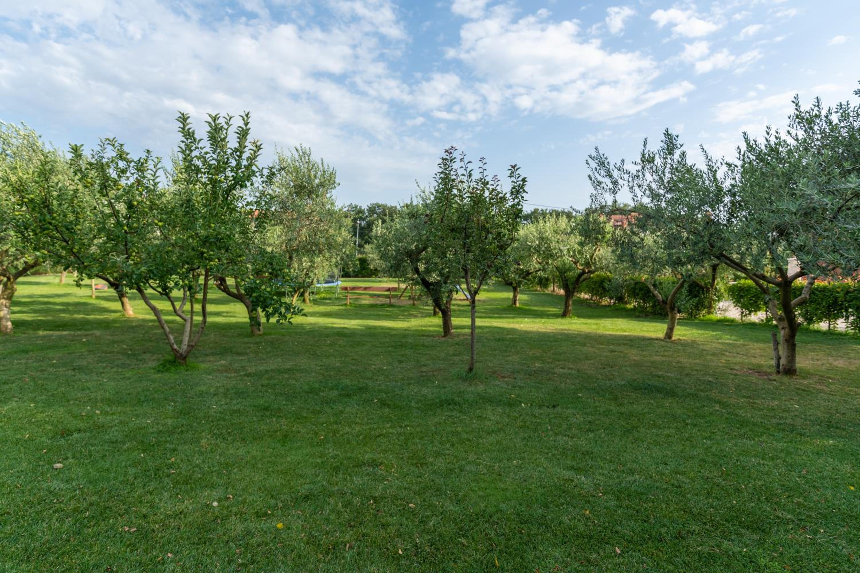 Fiorini