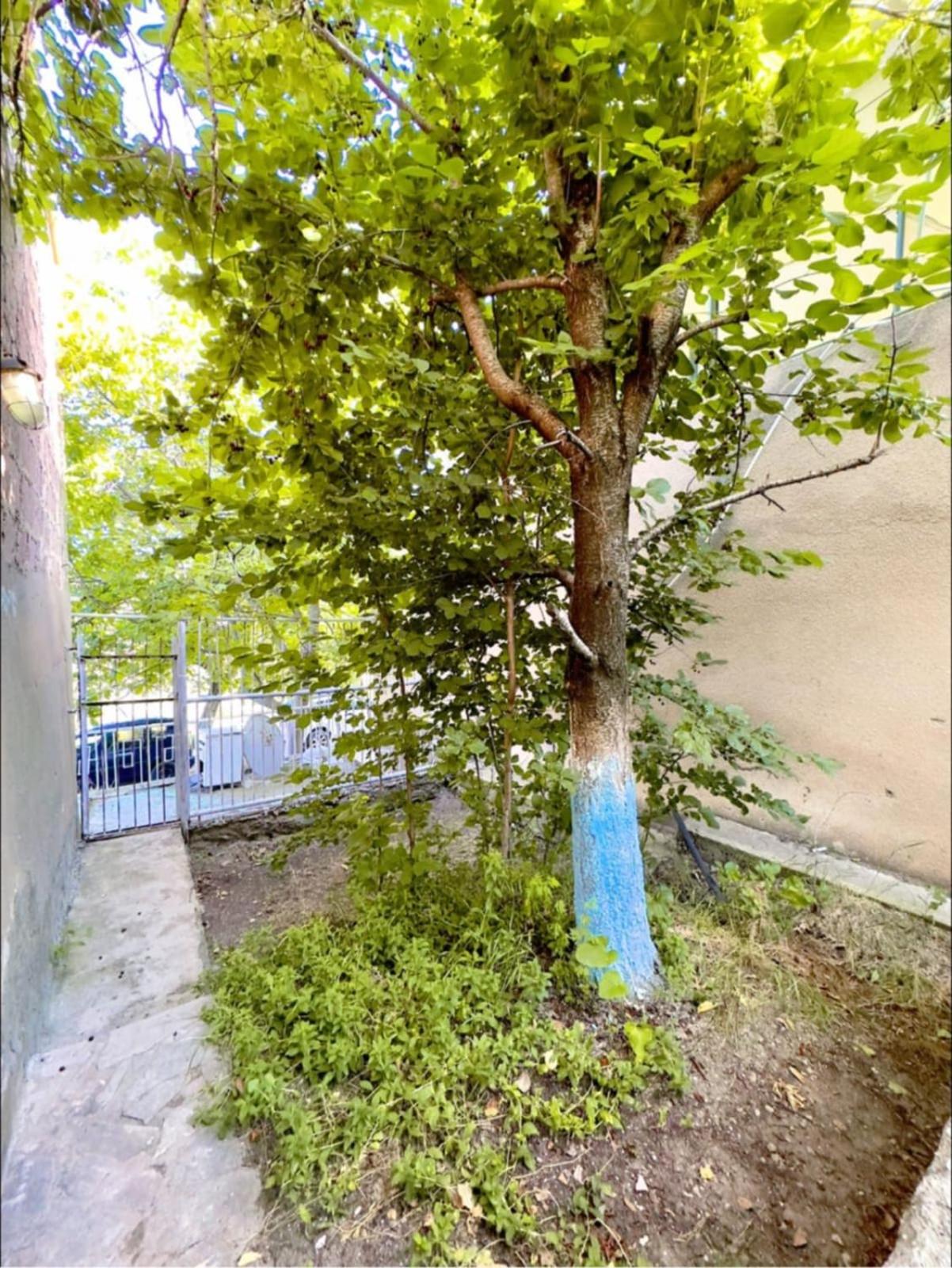 Villa in Bjni