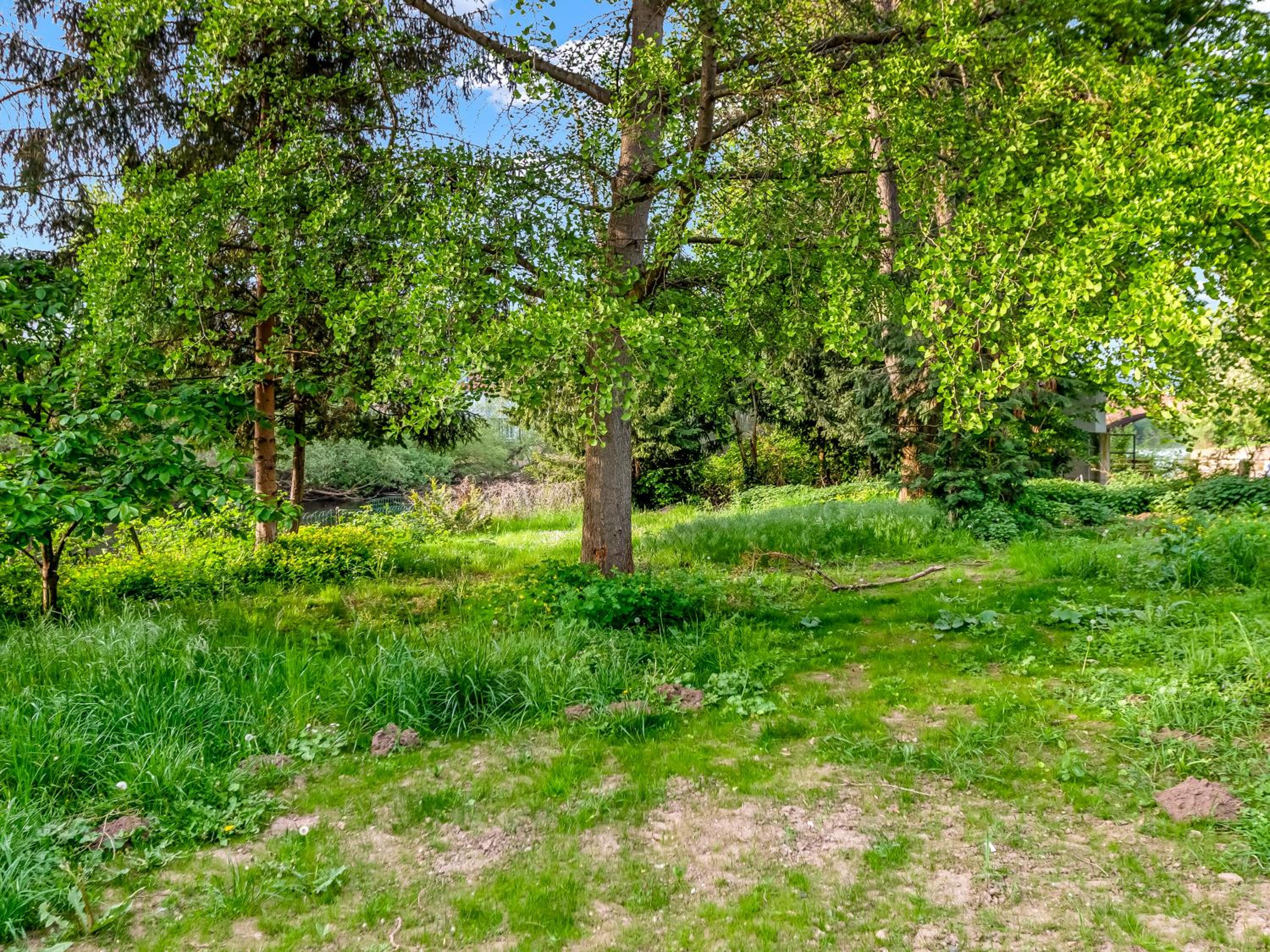 Altstadt Apartment am Wasser mit großem Garten