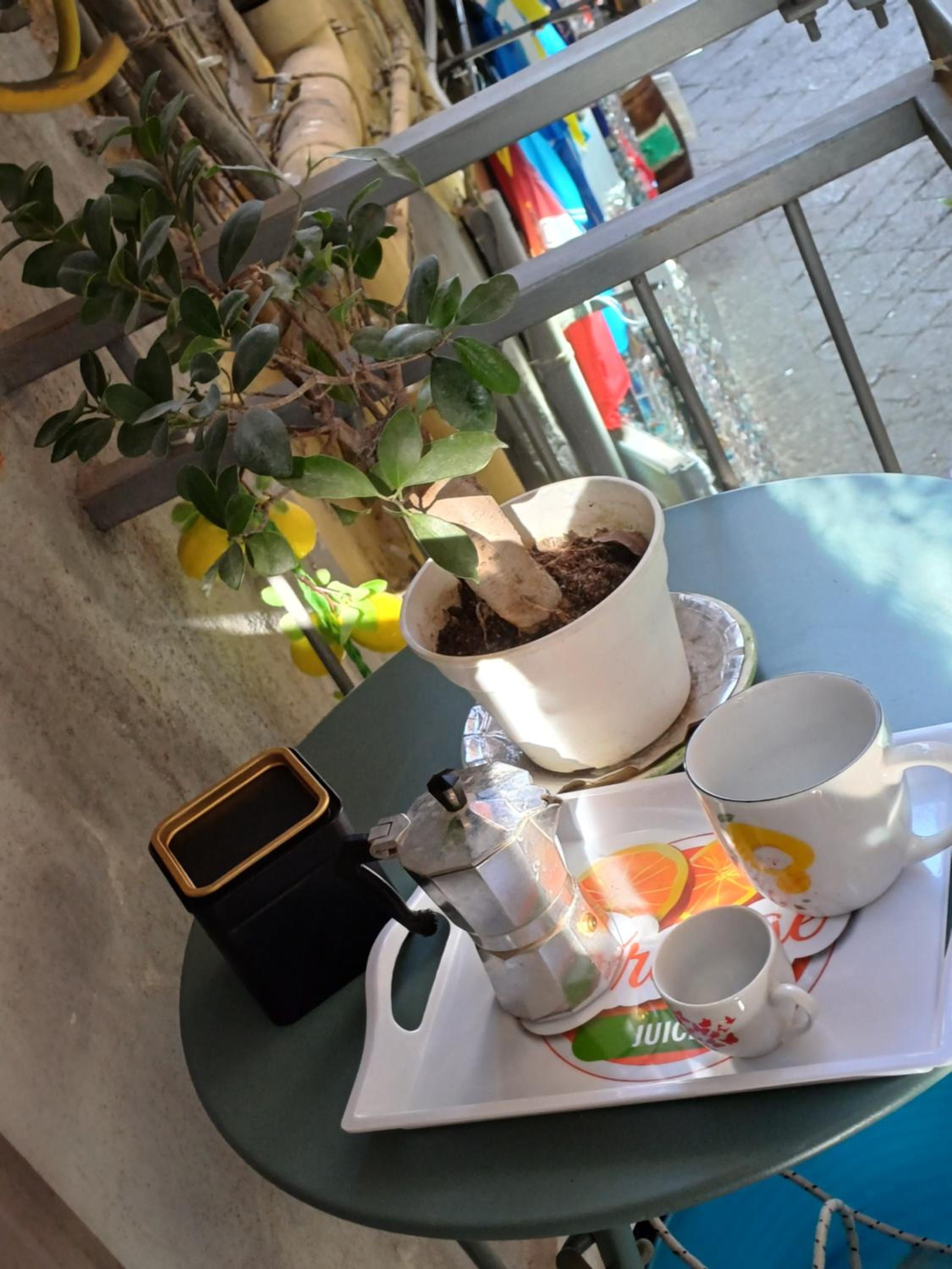 balance & terrace