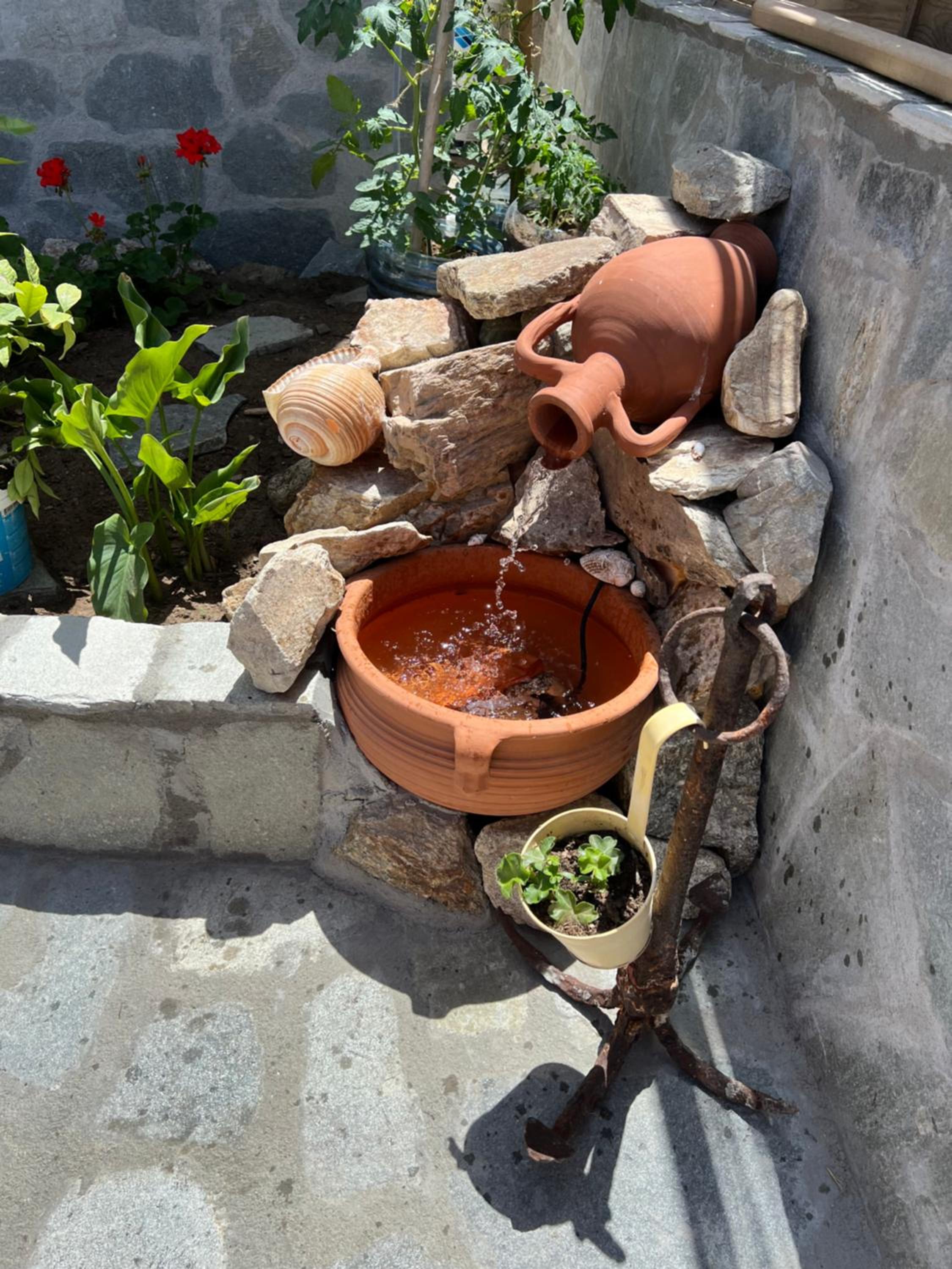 Photo 21