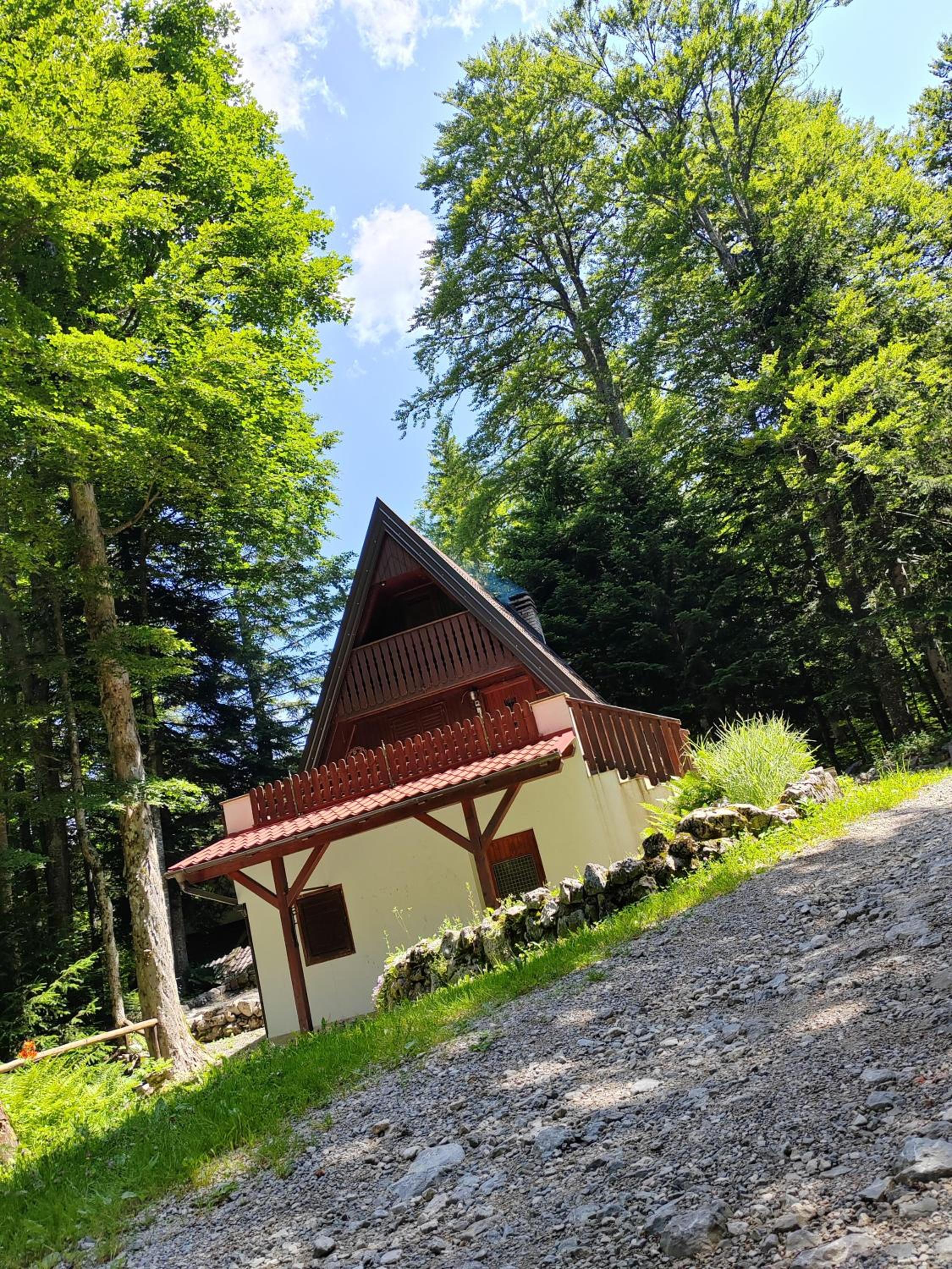 KOČA PLANIKA, SVIŠČAKI view 5