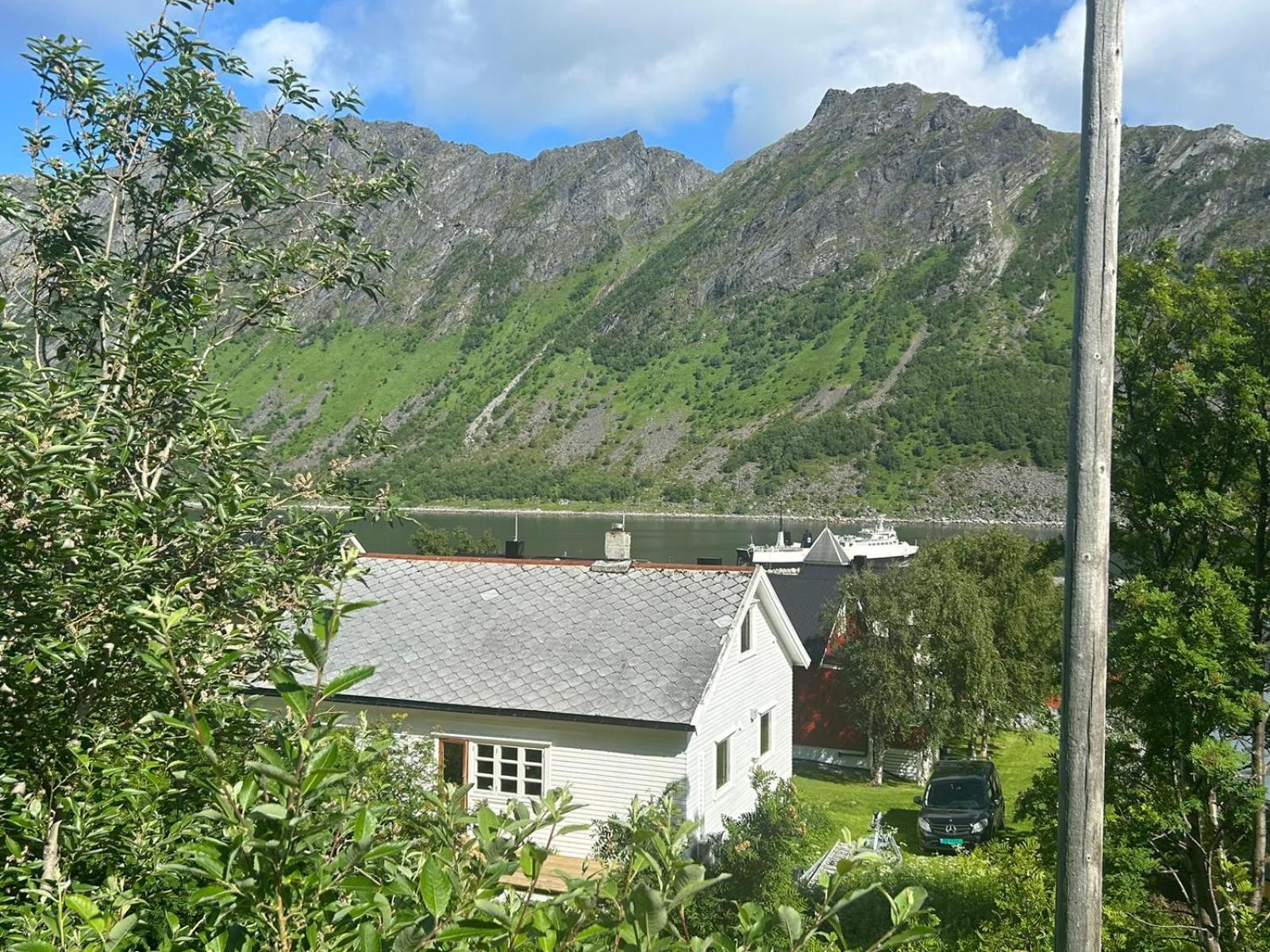 Photo 15