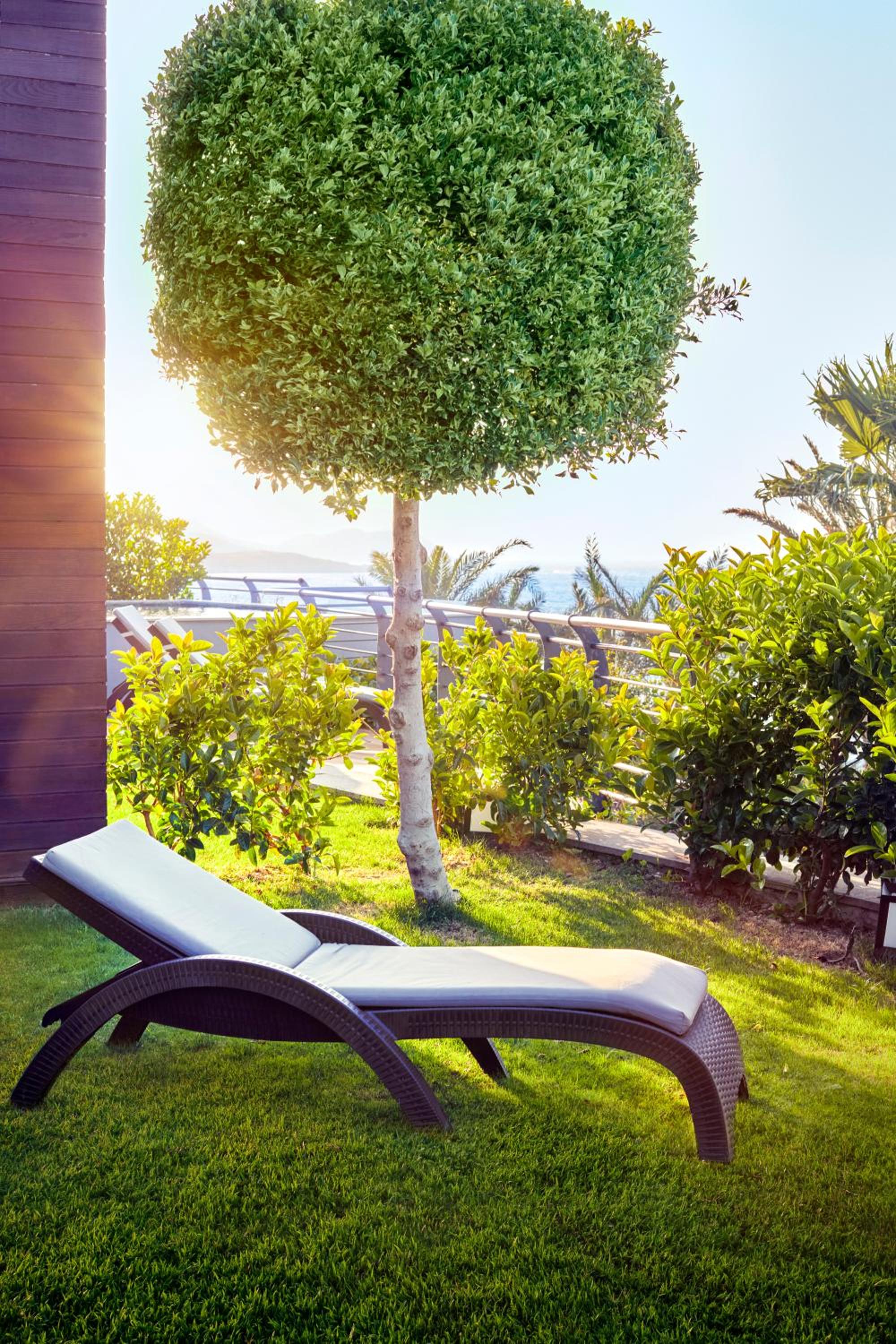 Root Redrock Yalıkavak