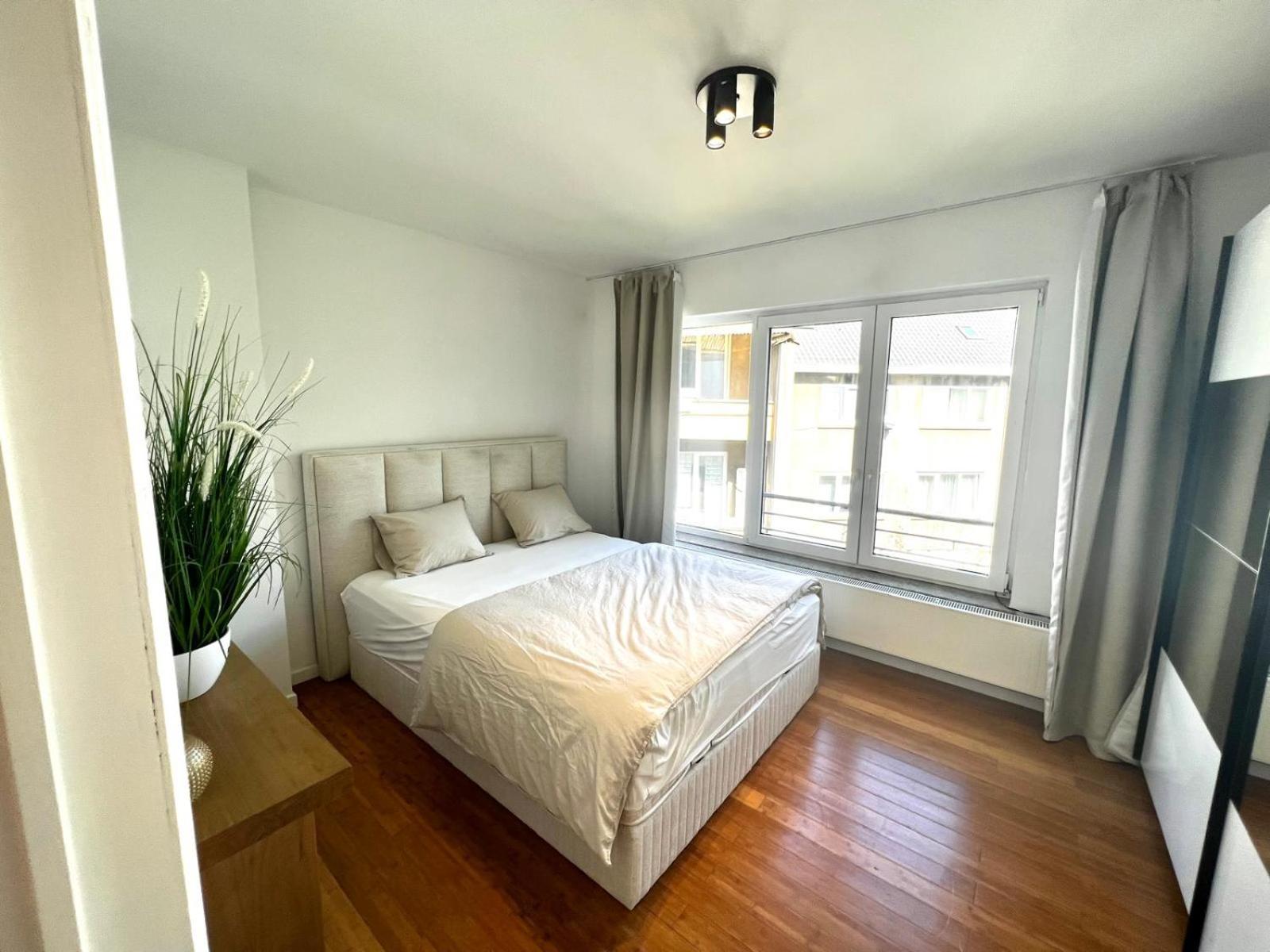 Wolu suites