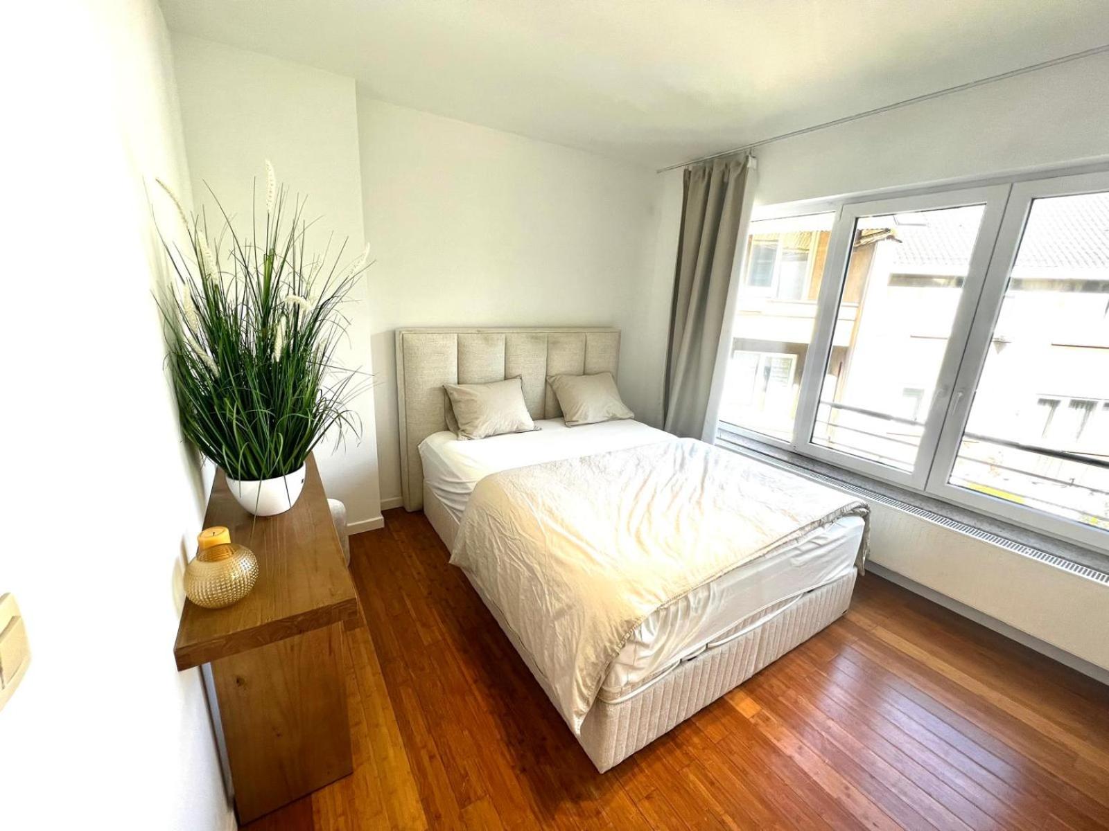 Wolu suites