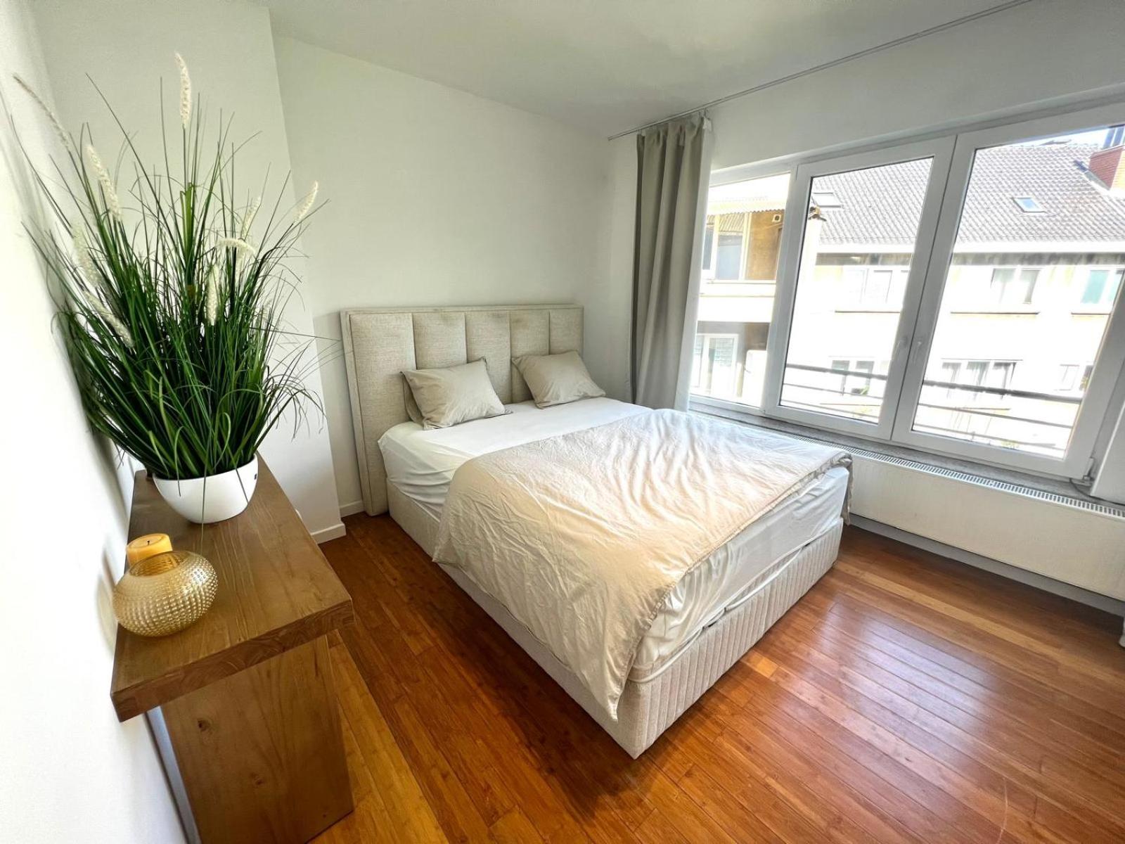 Wolu suites