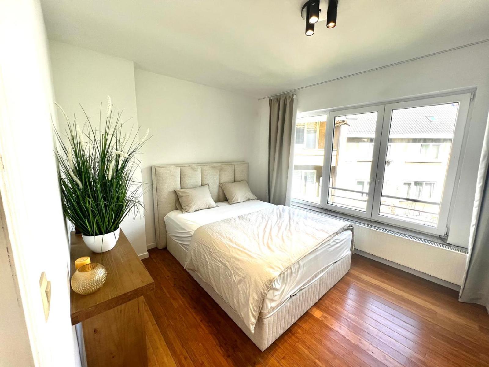 Wolu suites