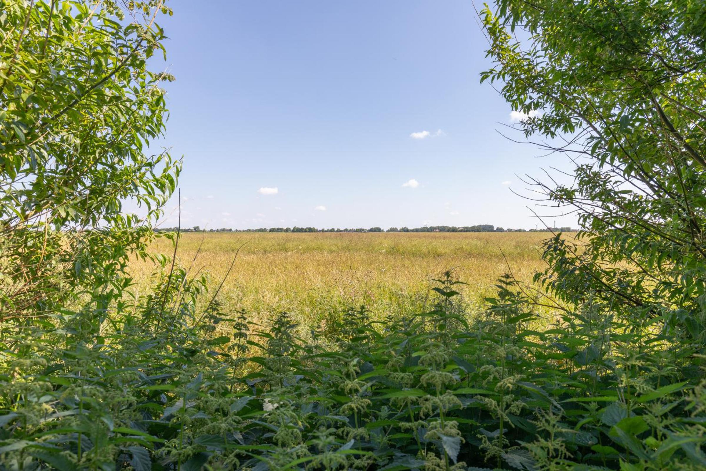 Deichkieker