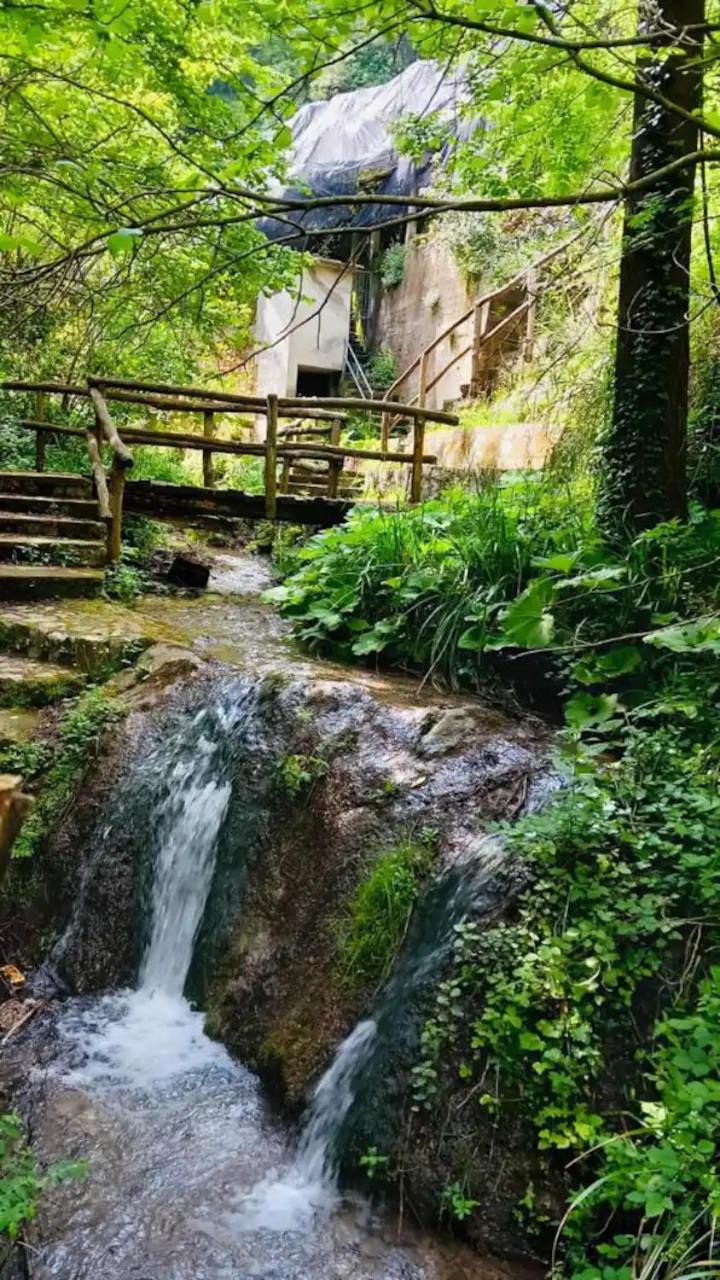 House In The Nature