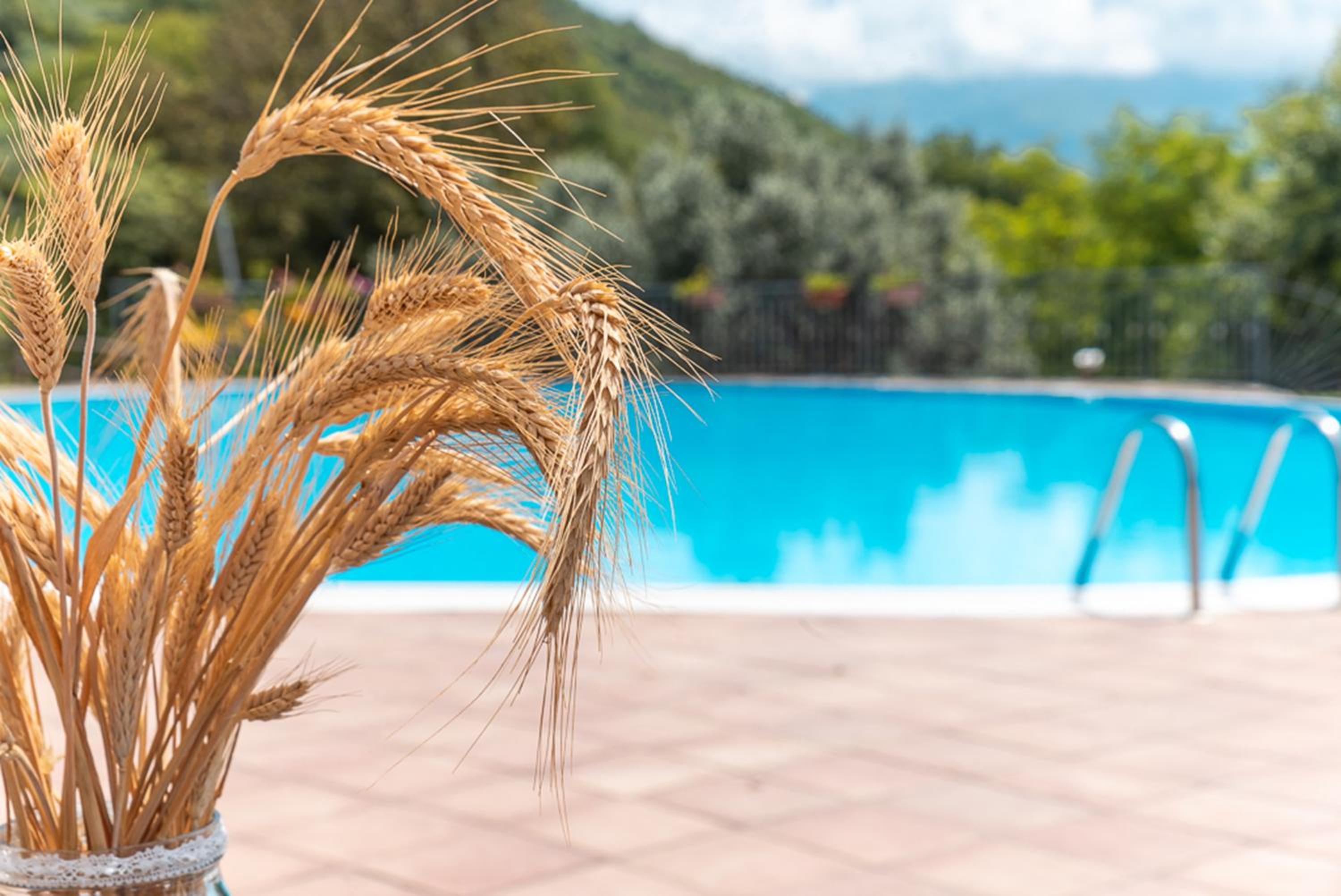 Agriturismo San Basilio