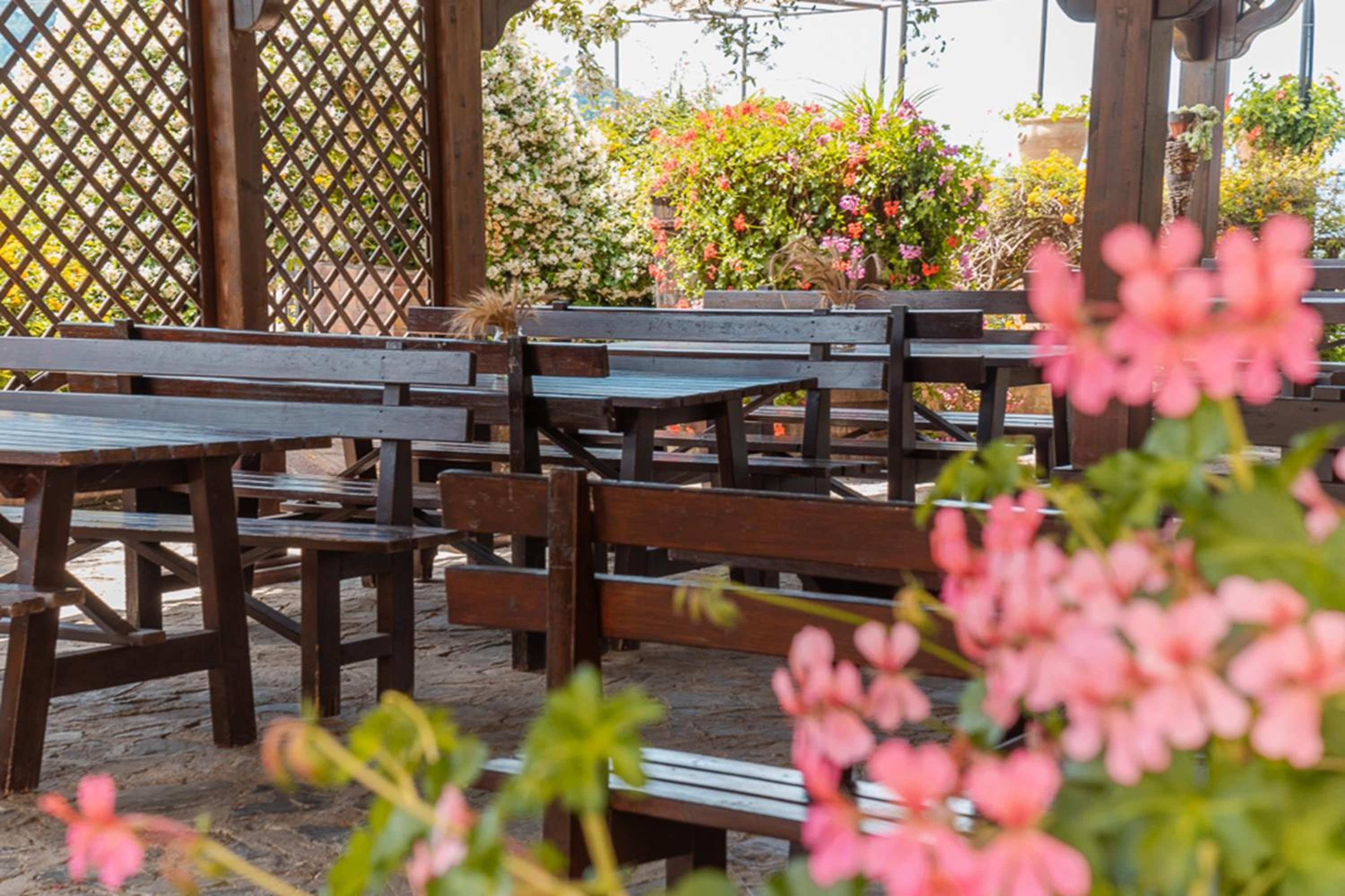 Agriturismo San Basilio