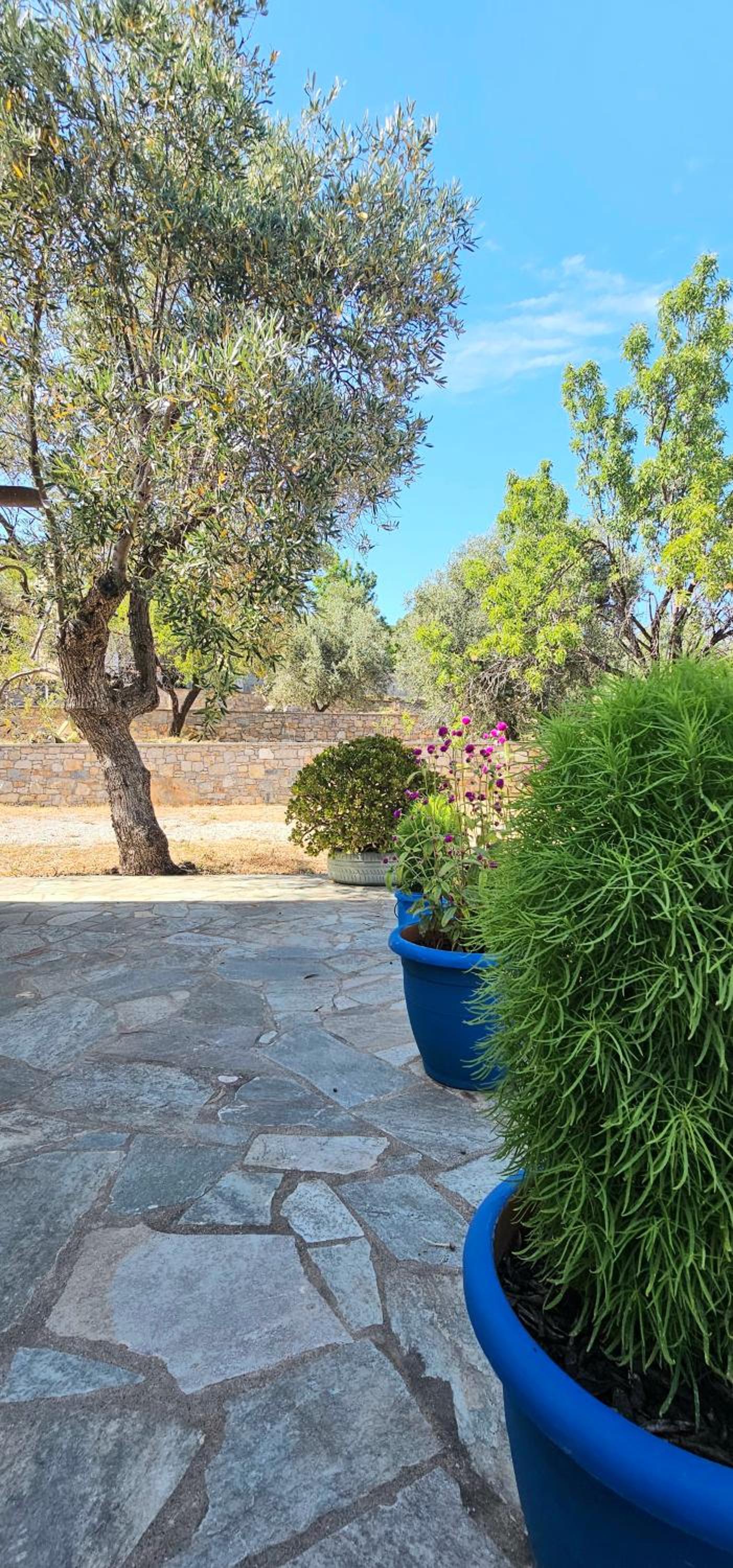 Villa Dimitra