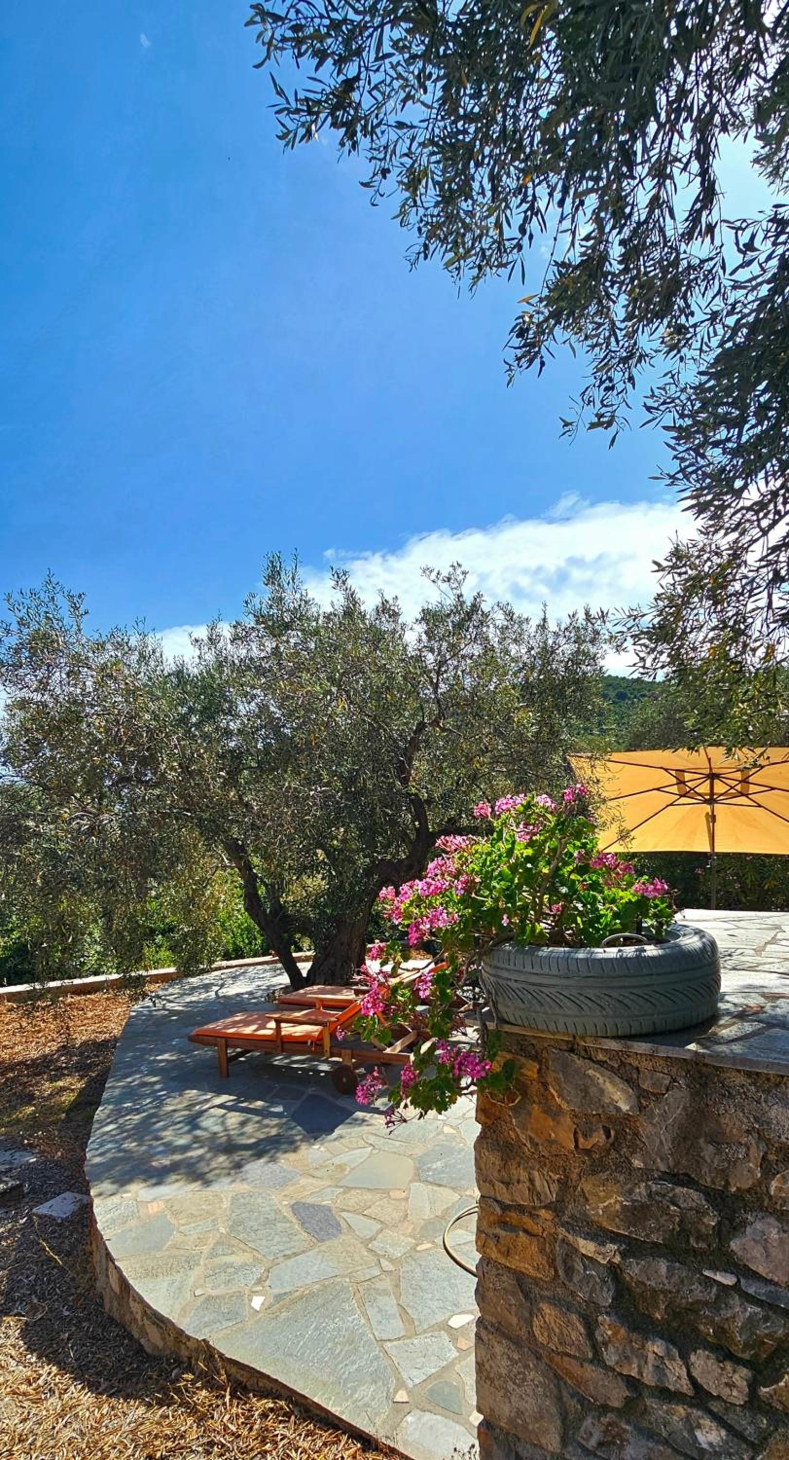 Villa Dimitra