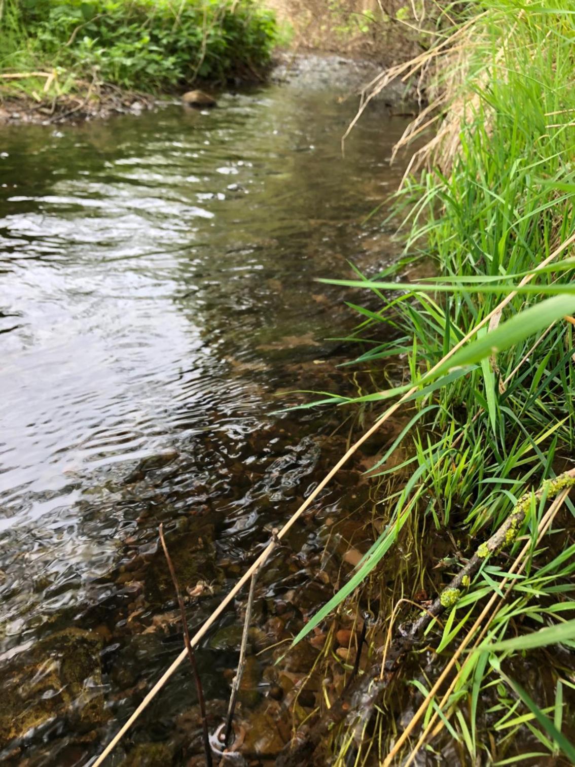 FEWO Unterm Stein - Schneewittchen - 2 Schlafzimmer