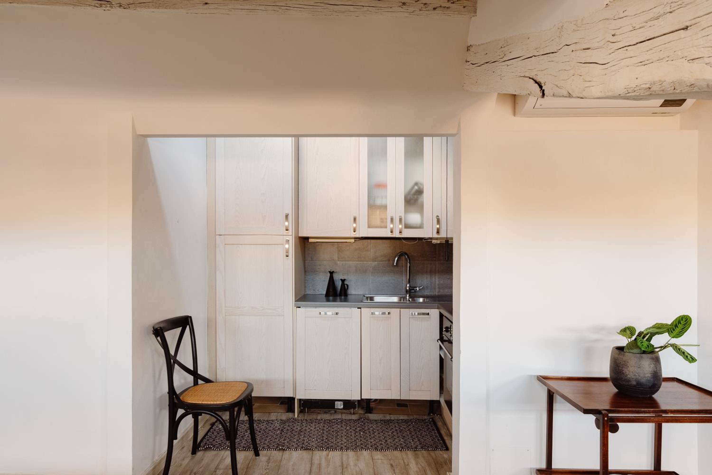 Amazing apartments with terrace or rooftop in Trastevere