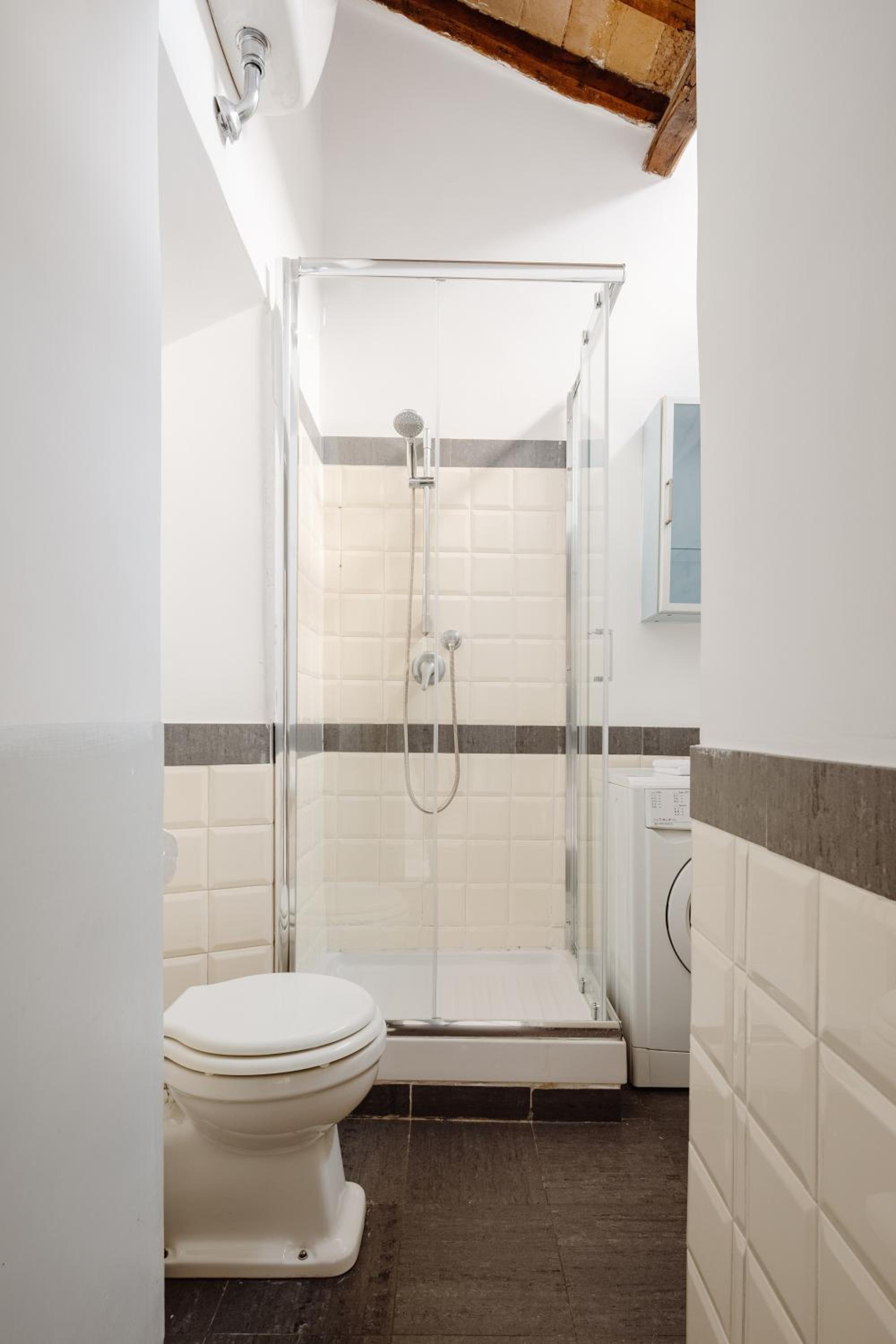 Amazing apartments with terrace or rooftop in Trastevere