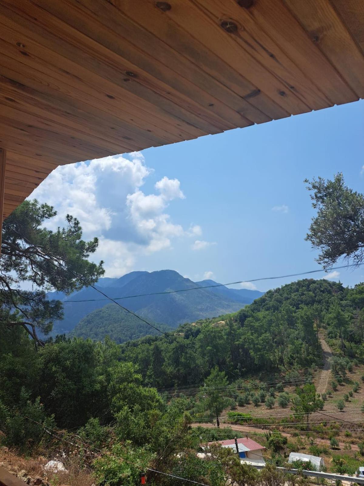 Olimpos Altun Pansiyon view 2