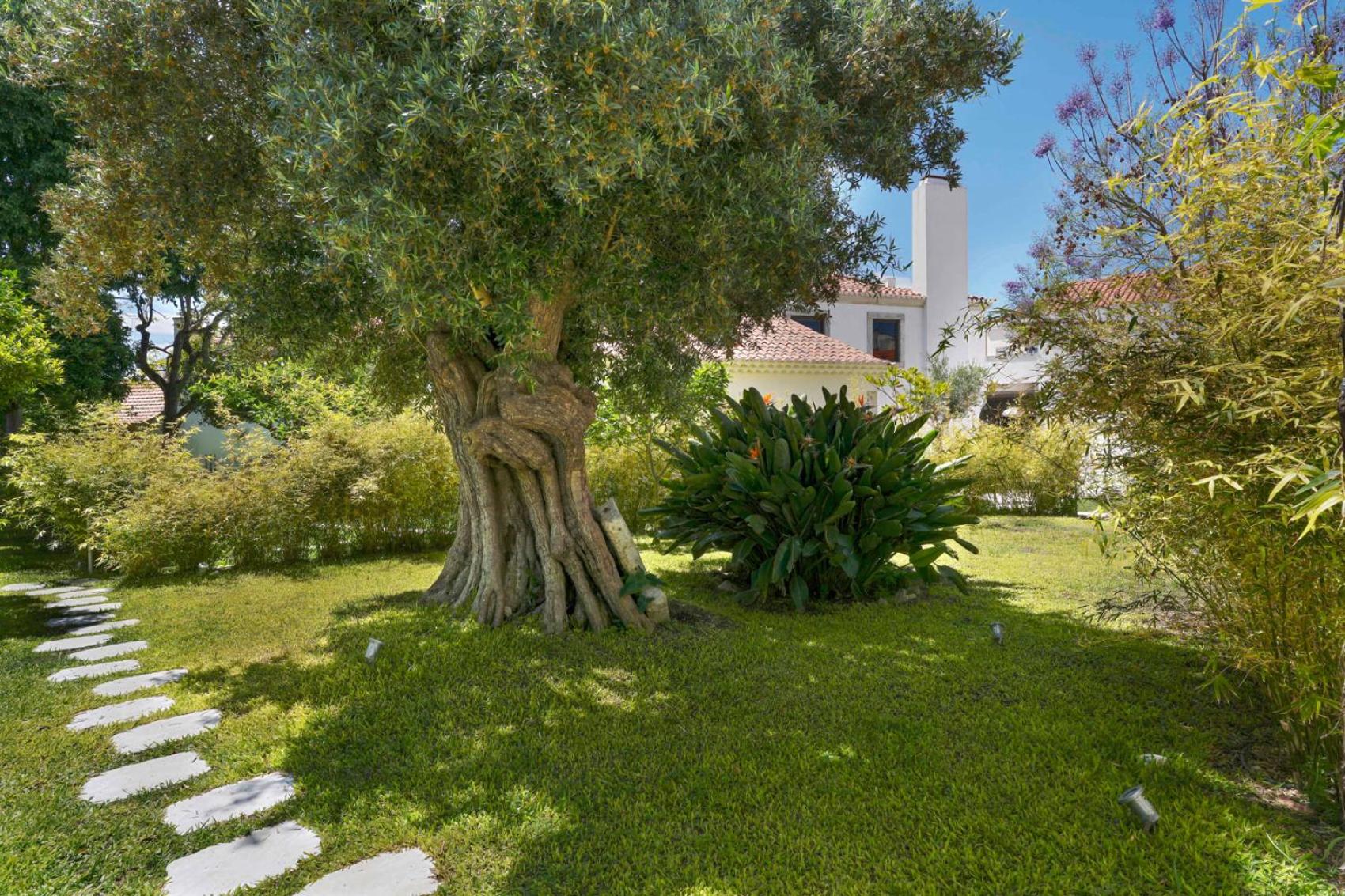 Photo 28