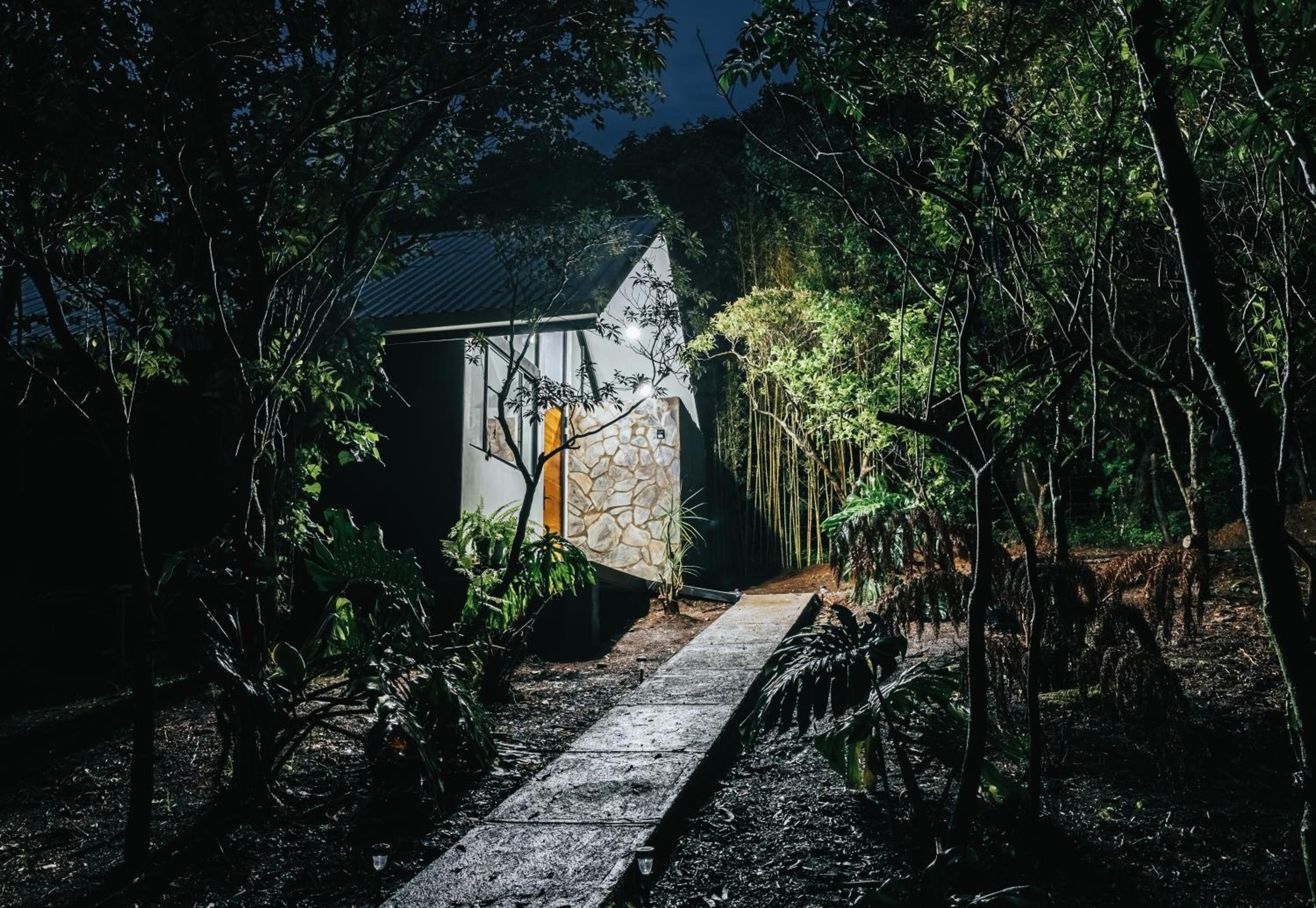 Floresta Monteverde