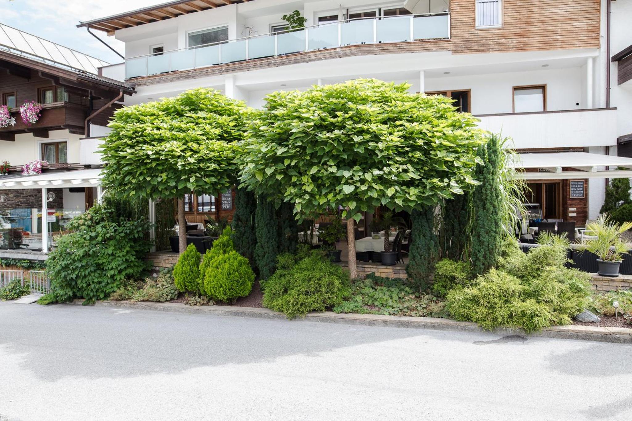 edelweiss lounge restaurant hotel pizza cafe billard gasthof