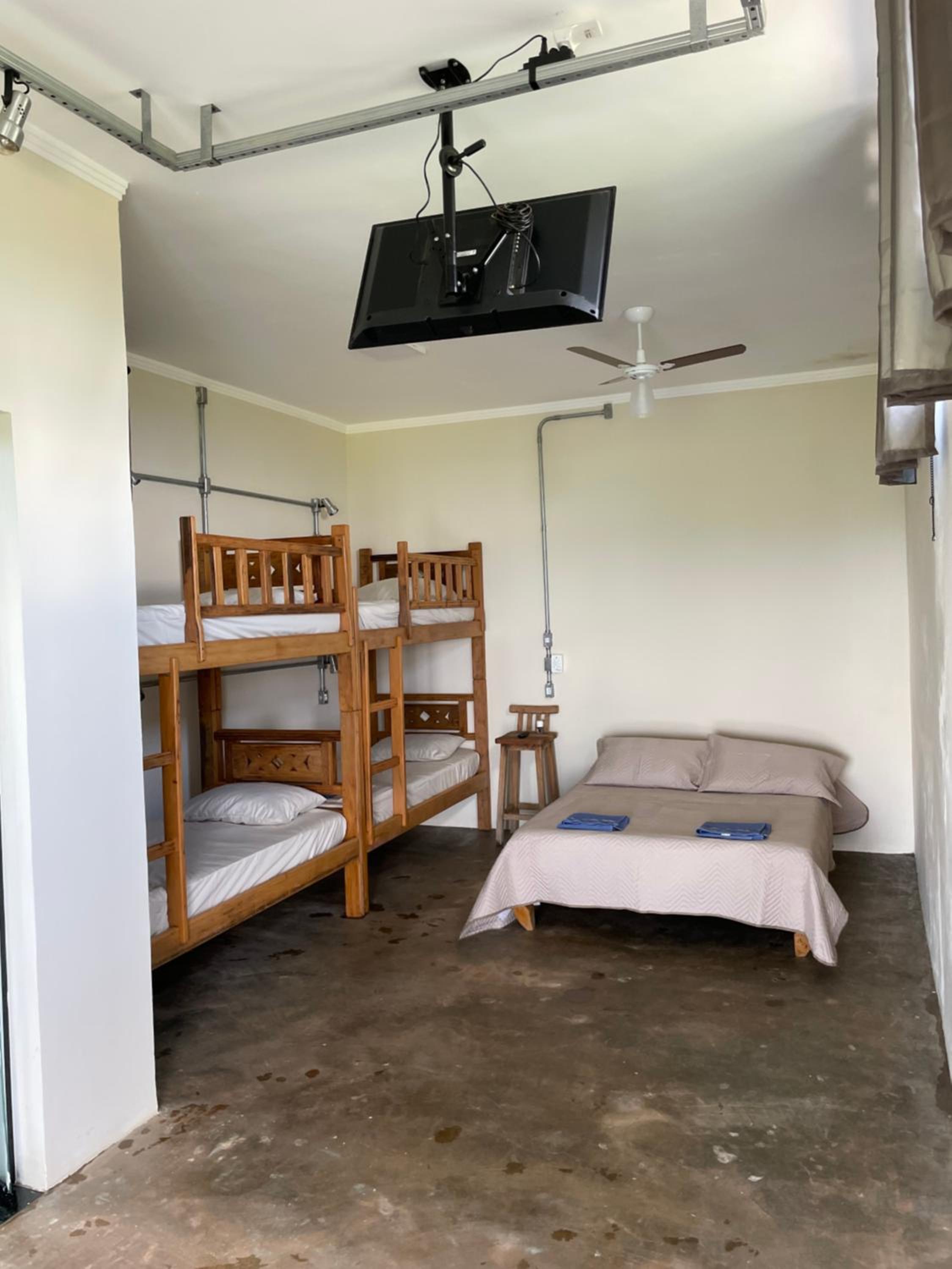 Suite Lobo Guará