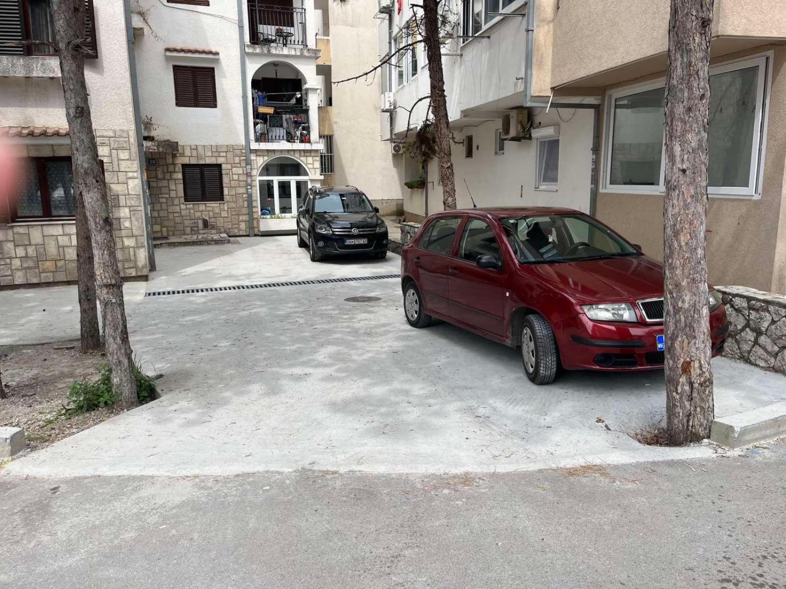 Tisa