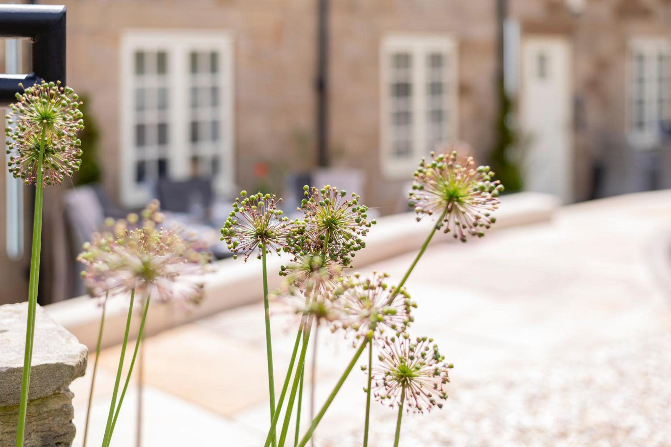 Sandsend Retreats at Saltmoore