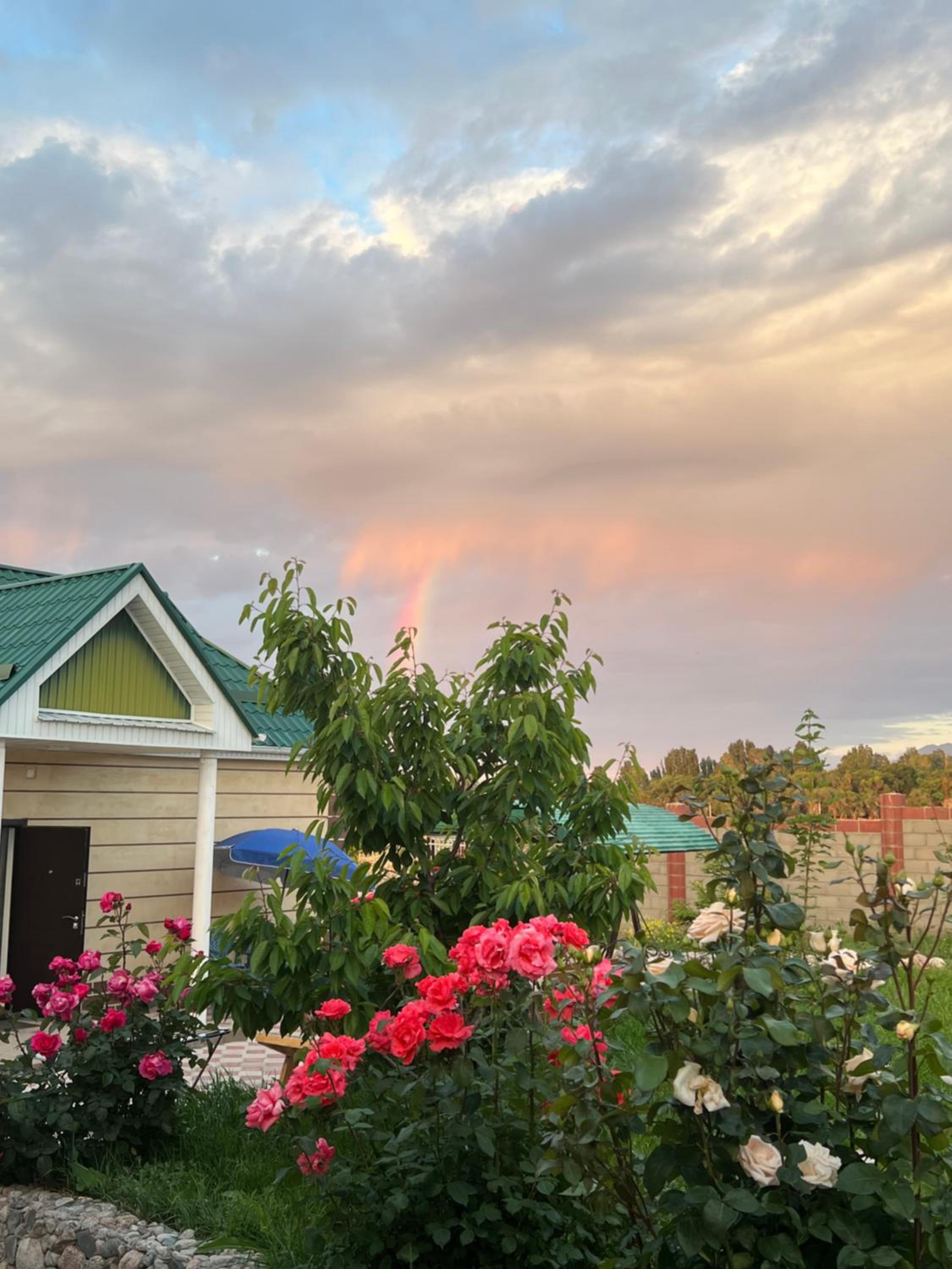 Guest house and yurt camp Svetlana