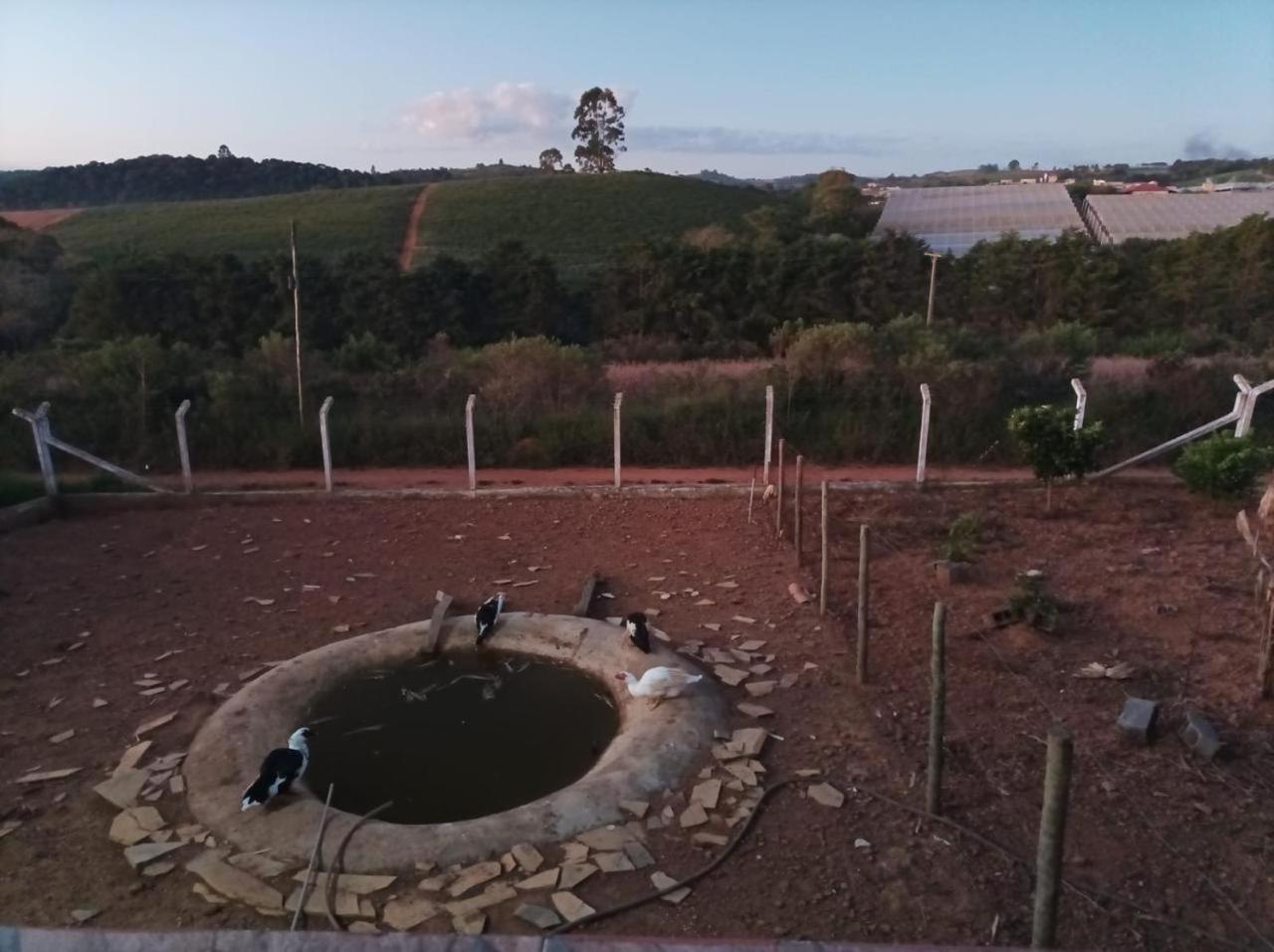Chácara com Piscina e Lareira para Alugar em Munhoz MG