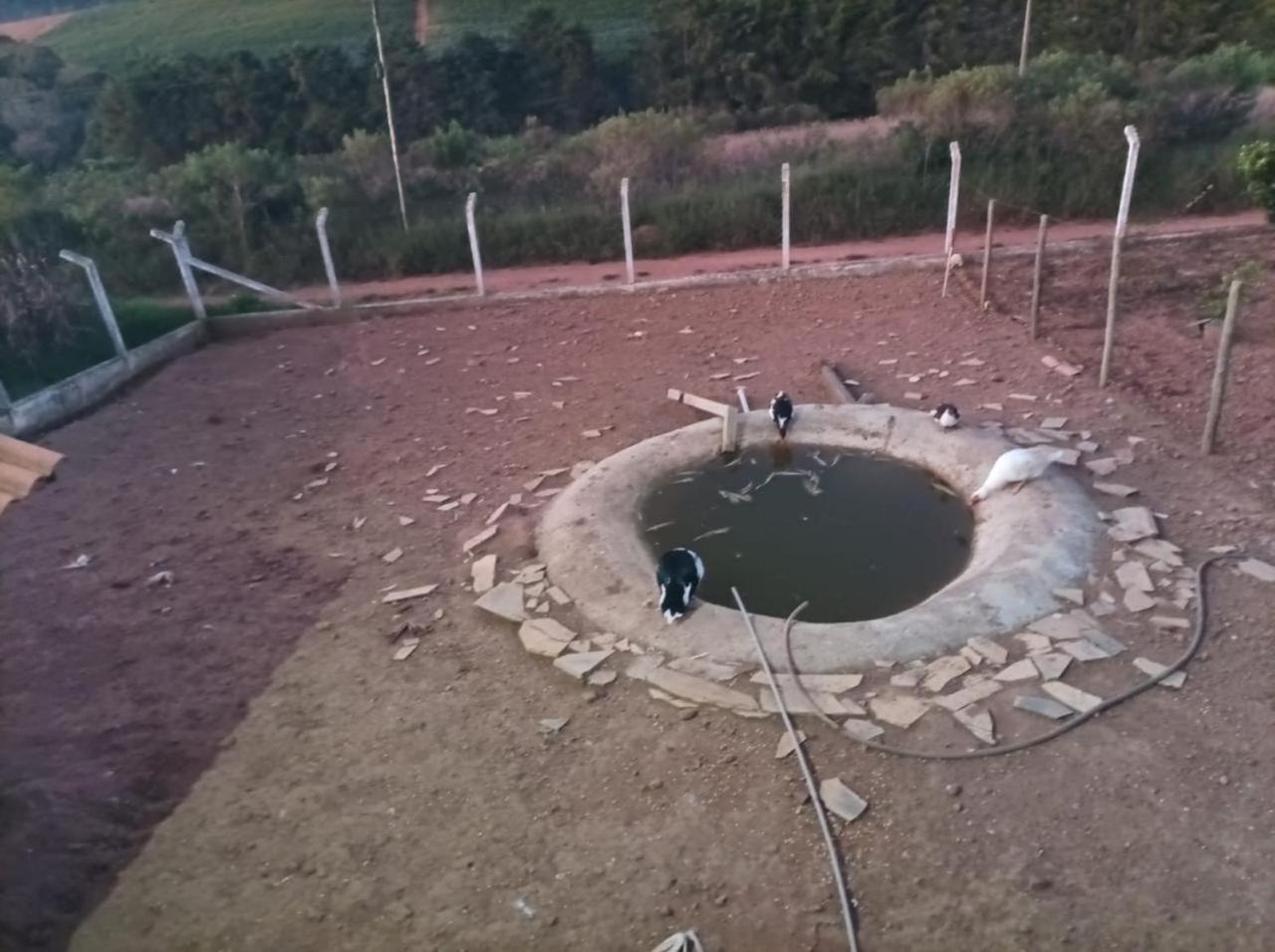 Chácara com Piscina e Lareira para Alugar em Munhoz MG