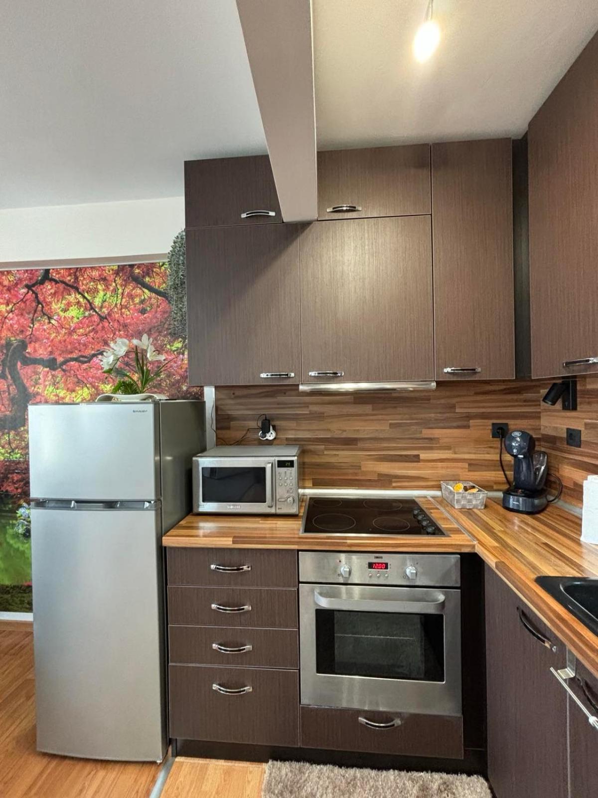 Cozy Seaside Getaway One Bedroom Apartment Moni in Sveti Vlas