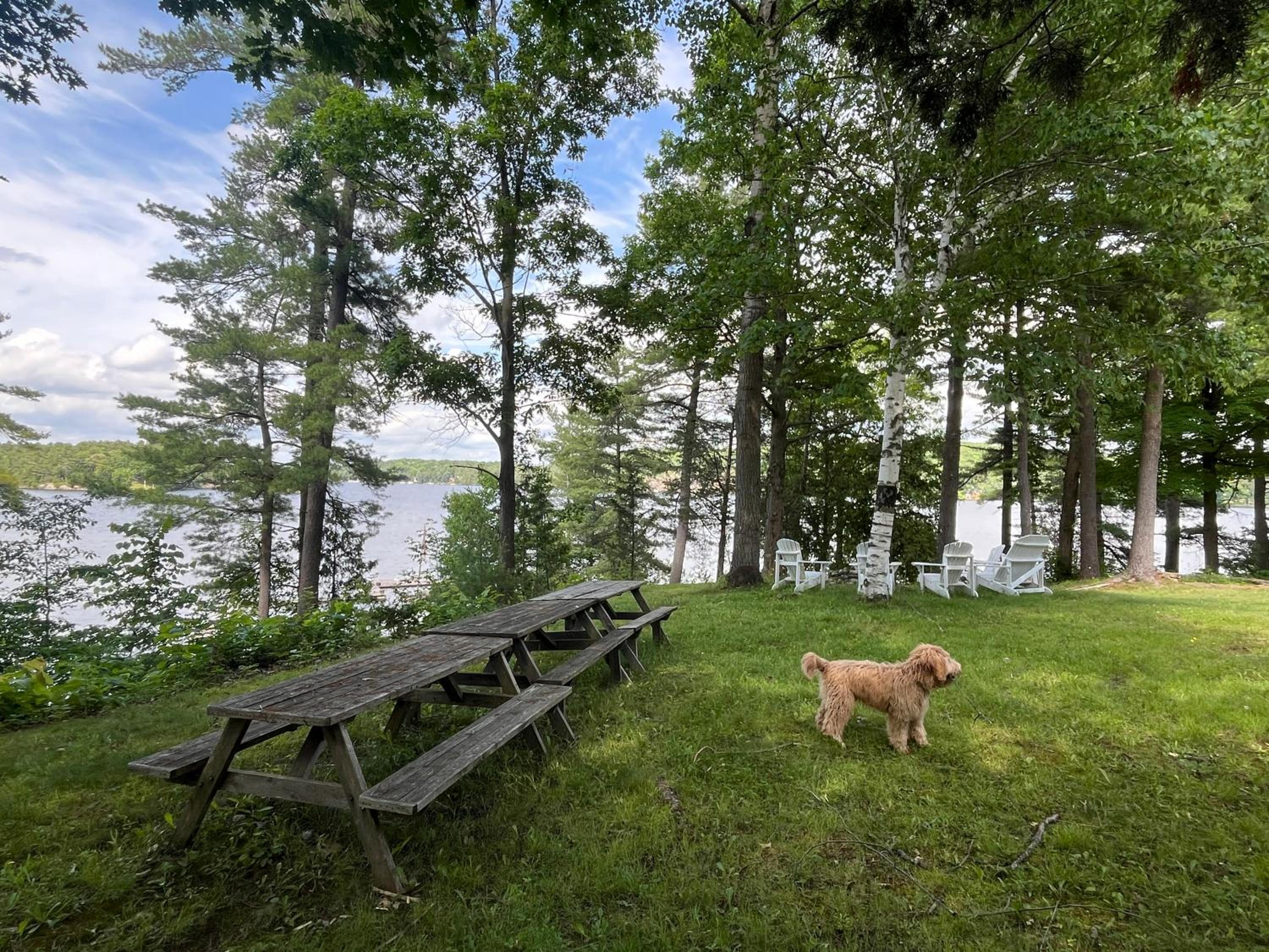 Family Cottage Sheep Island