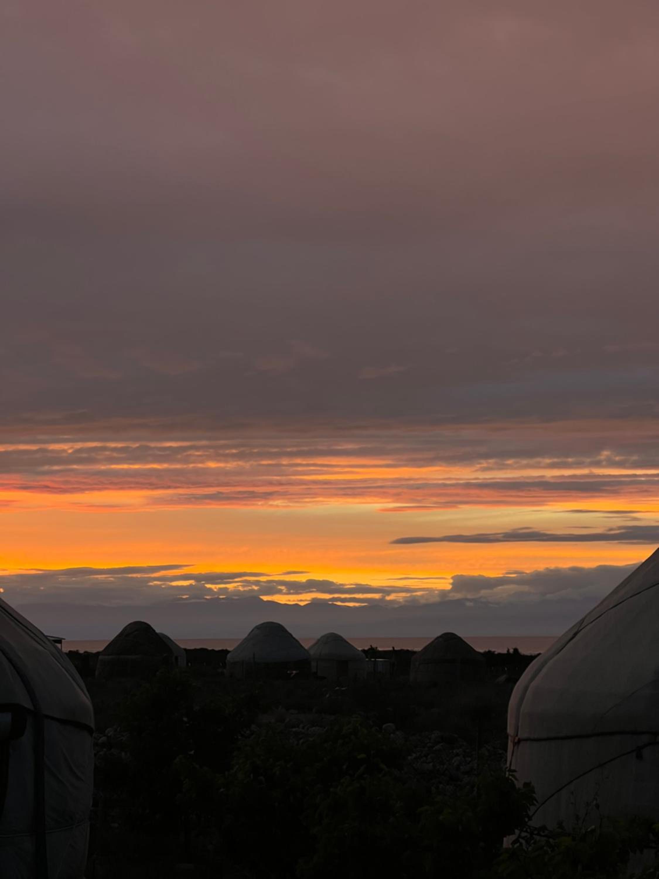Guest house and yurt camp Svetlana