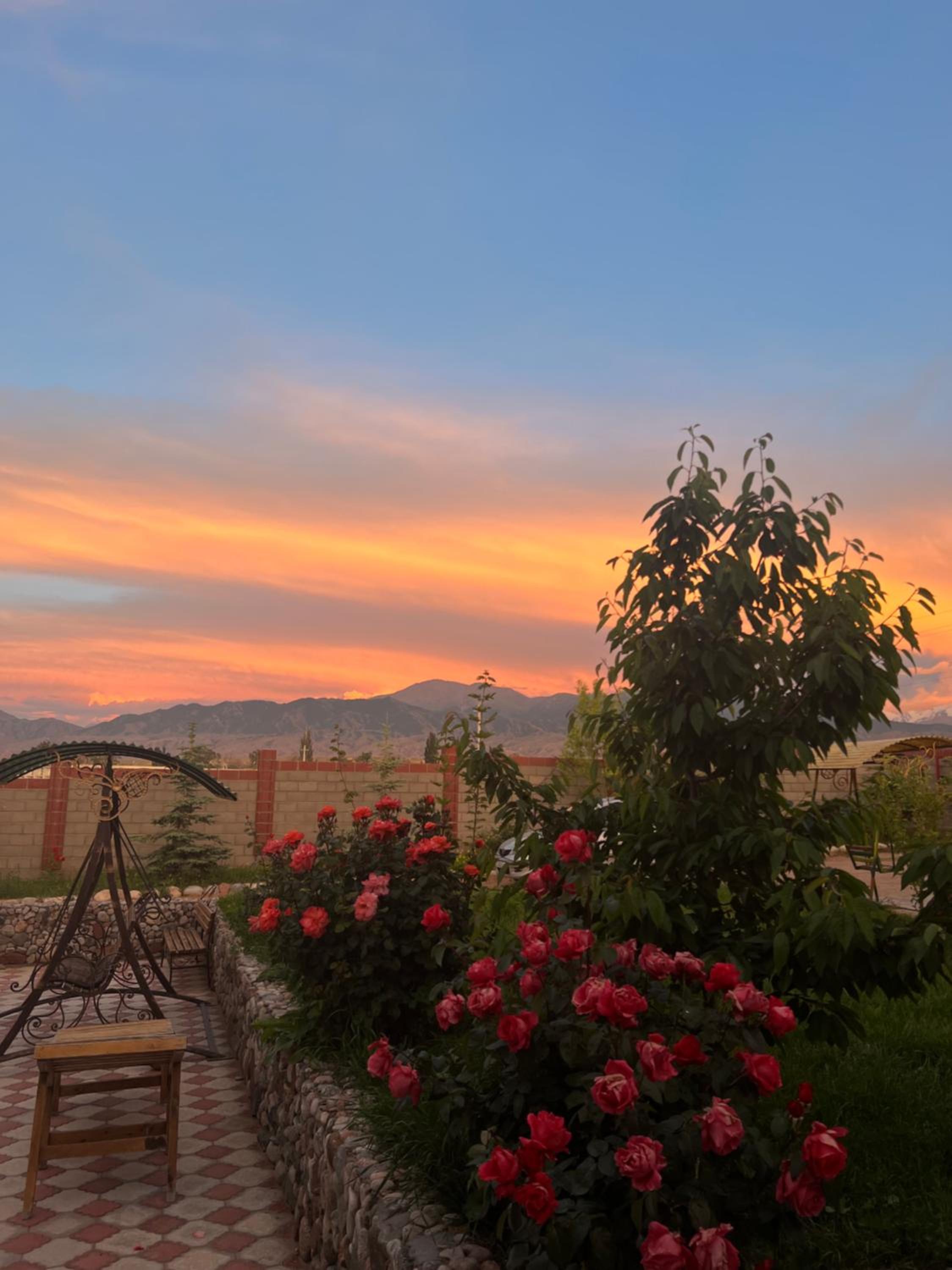 Guest house and yurt camp Svetlana