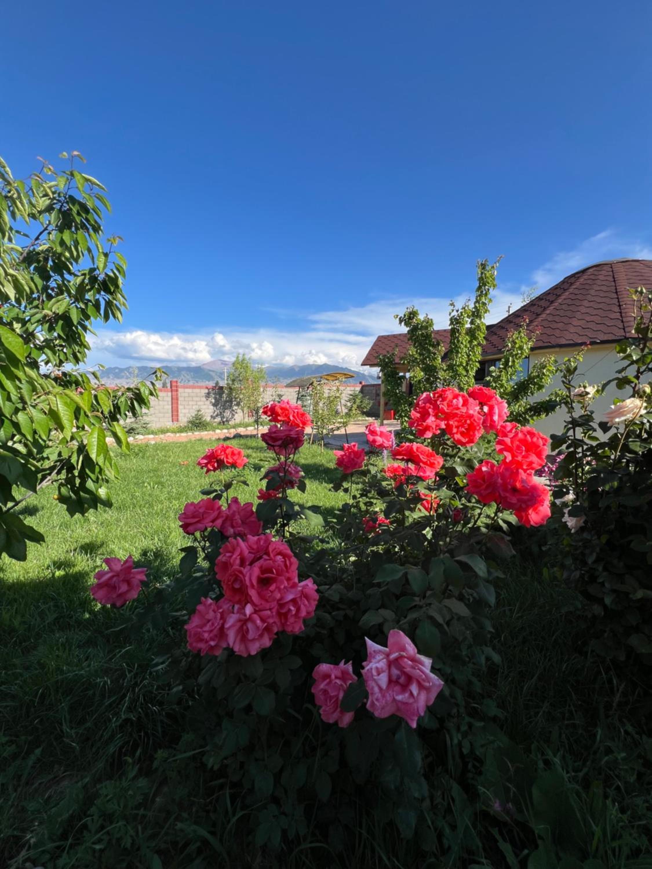 Guest house and yurt camp Svetlana