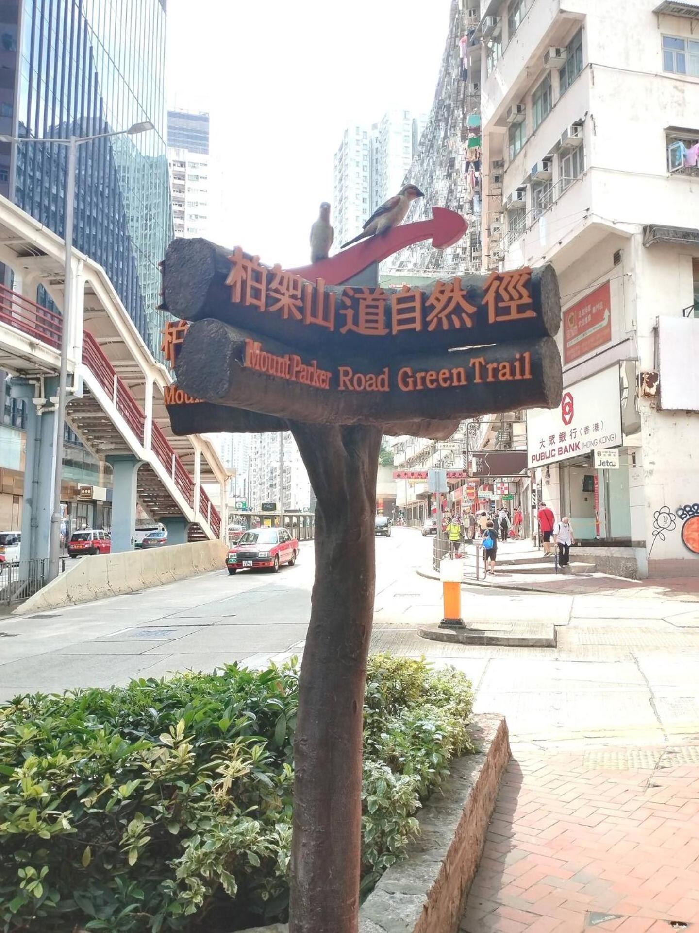 5 Minutes from MTR Full kitchen and toilet with Elevator