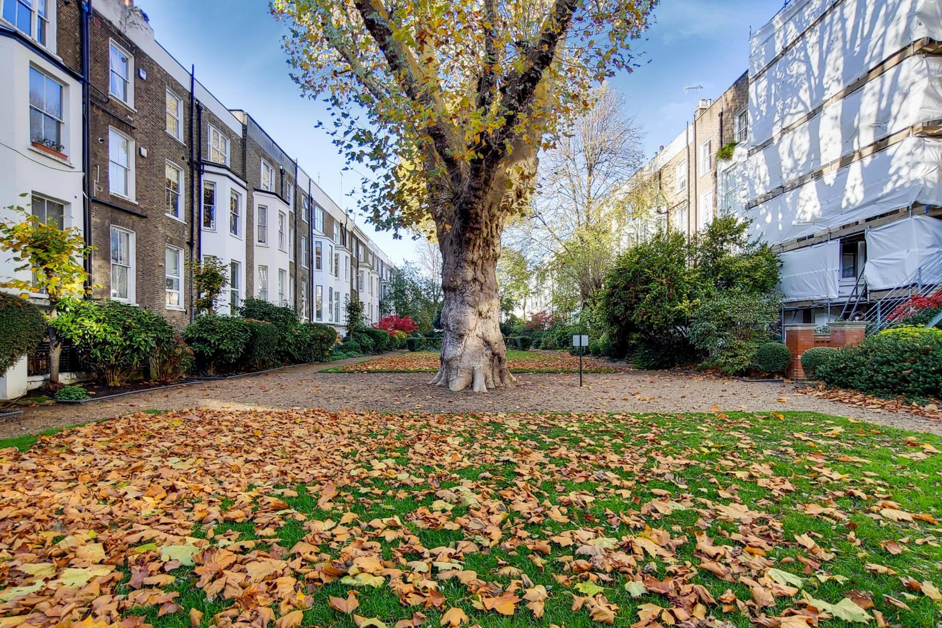 HR2 - Charming 1-Bed near Holland Park - by Short Stories London