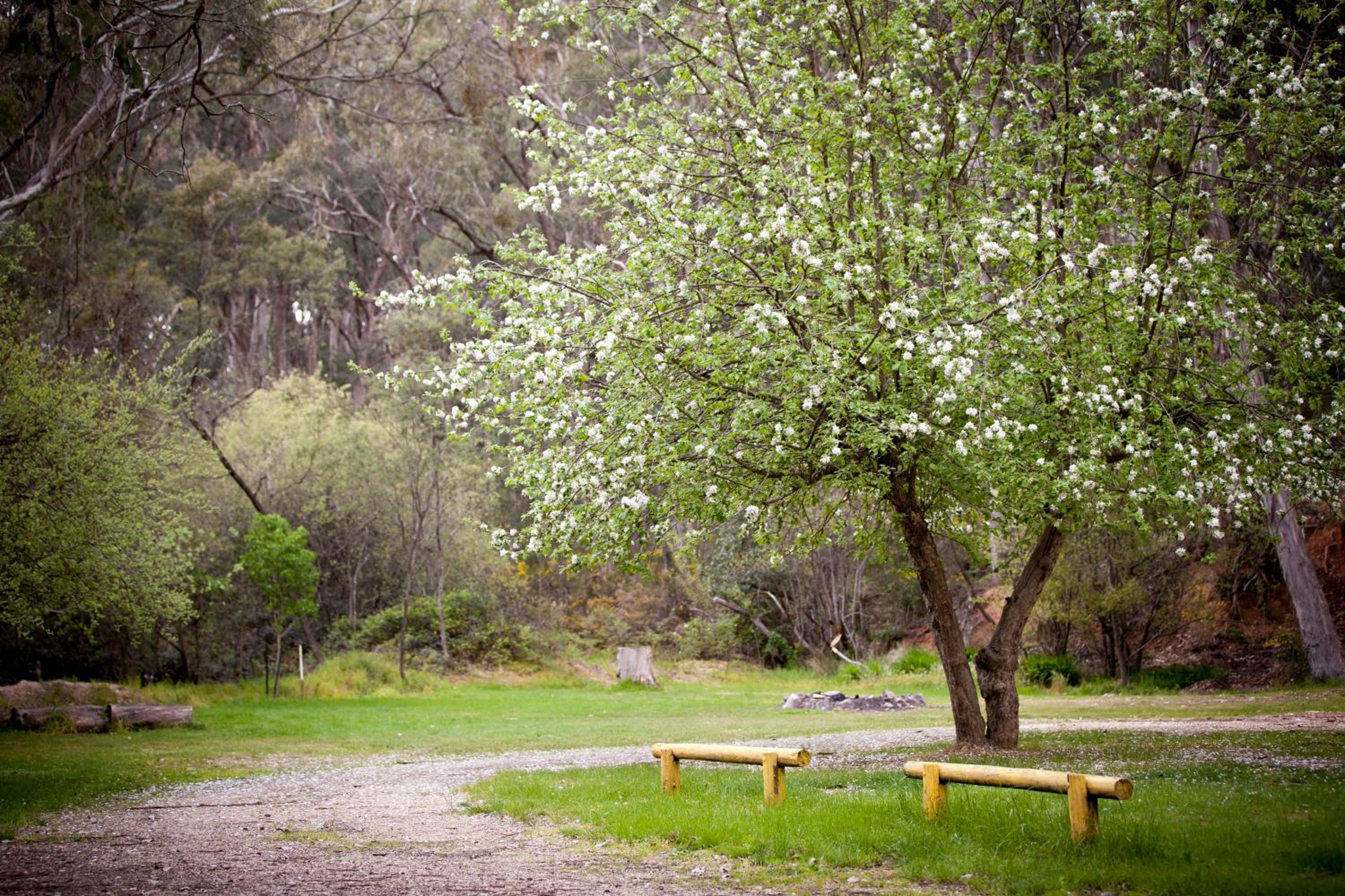 Beechworth Holiday Park