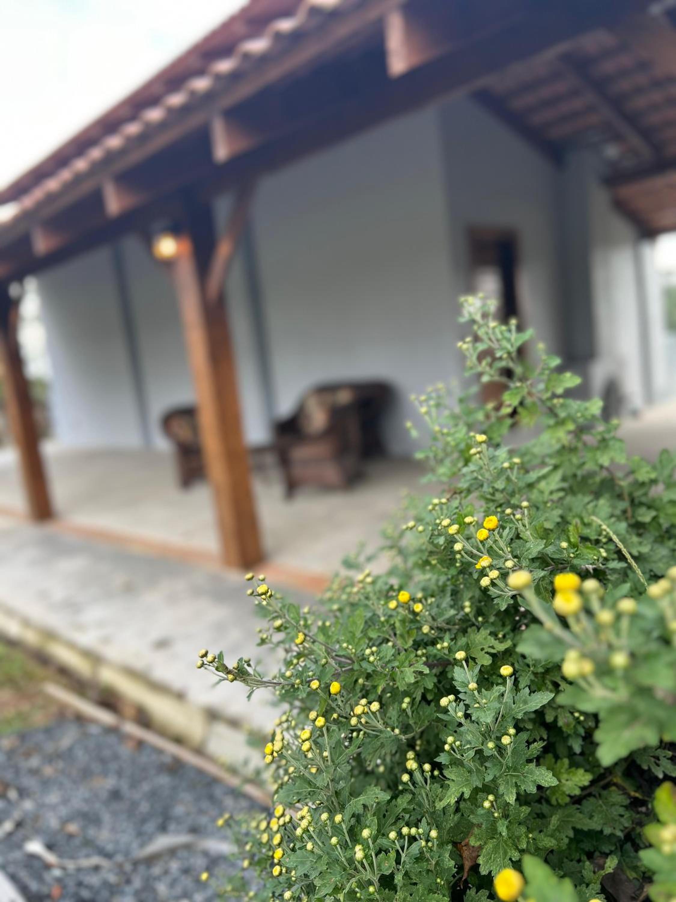Cabana Estufa