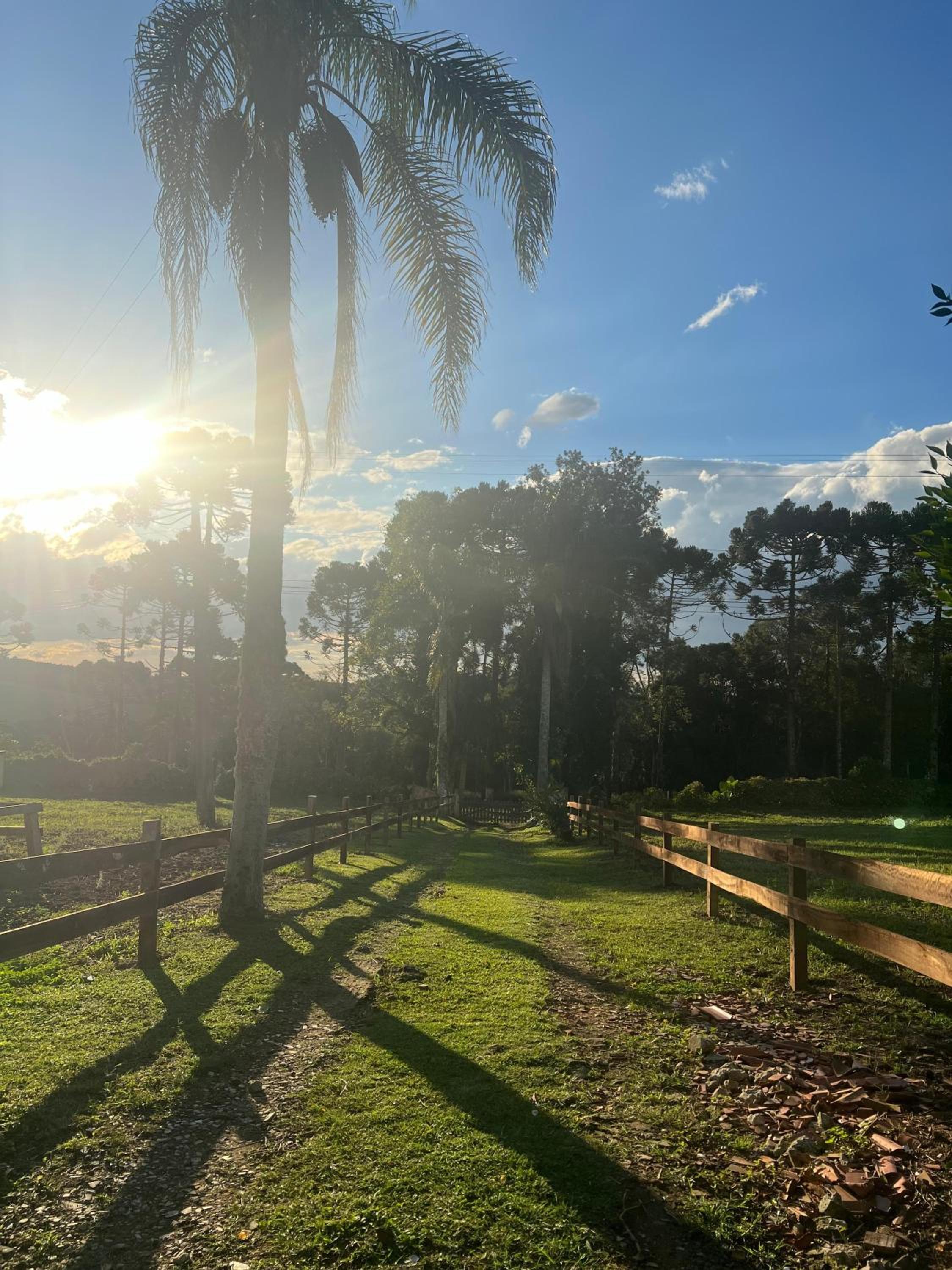 Cabana Estufa