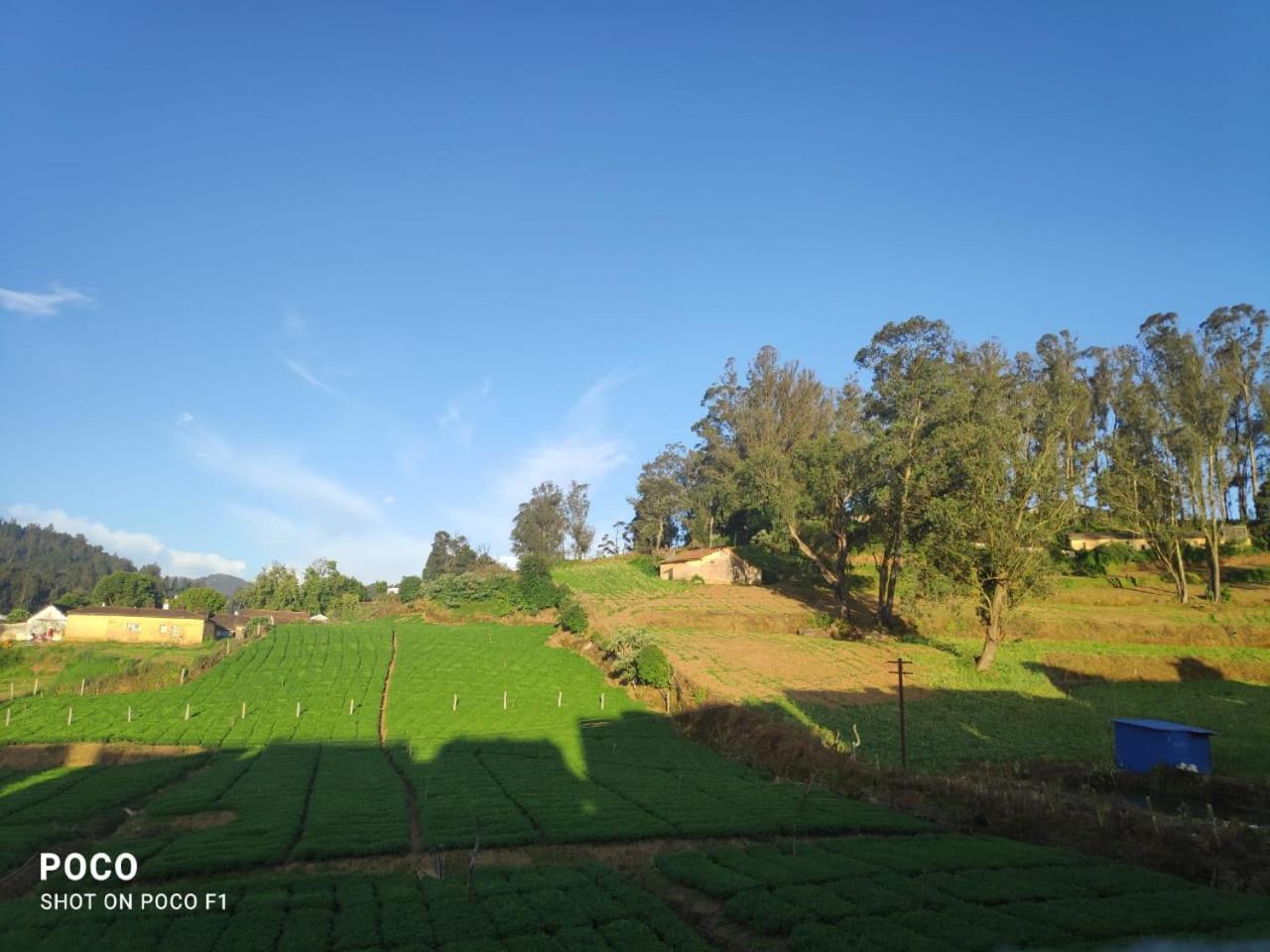 Mithra Cottages Ooty Individual Villa Breakfast Complementary, Campfire Available, BBQ Available, Home made Food Available view 2