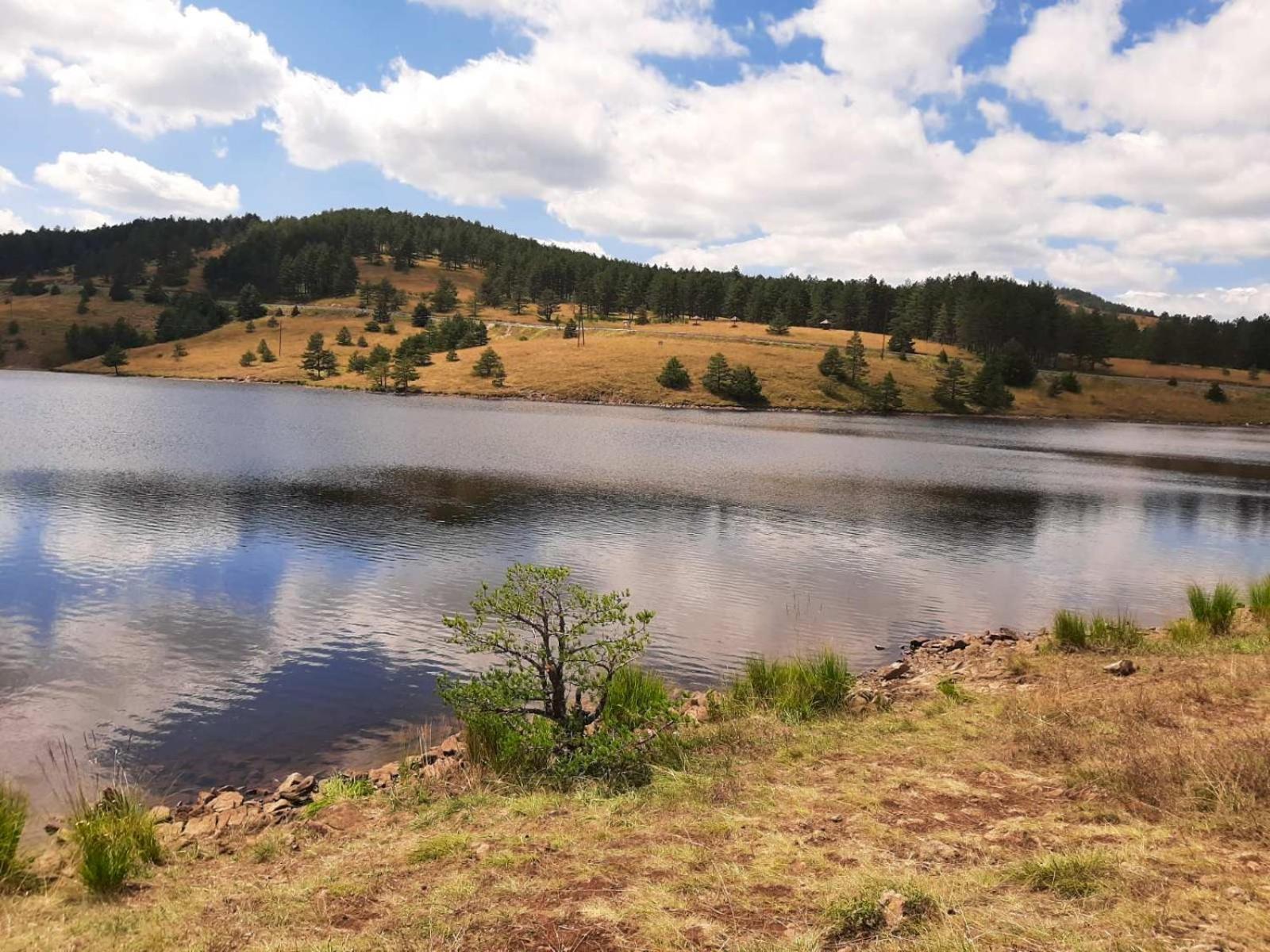Apartman Tić Zlatibor view 5